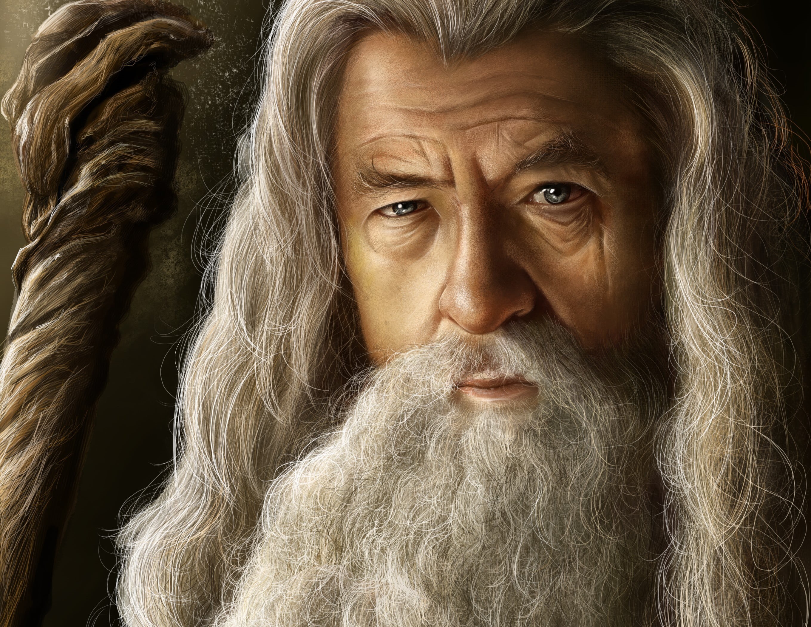 gray Hair, one Person, females, caucasian Ethnicity, men, portrait, women, Gandalf, lord, studio shot, 2K, headshot, human Face, serious, hairstyle, the old man, HD Wallpaper