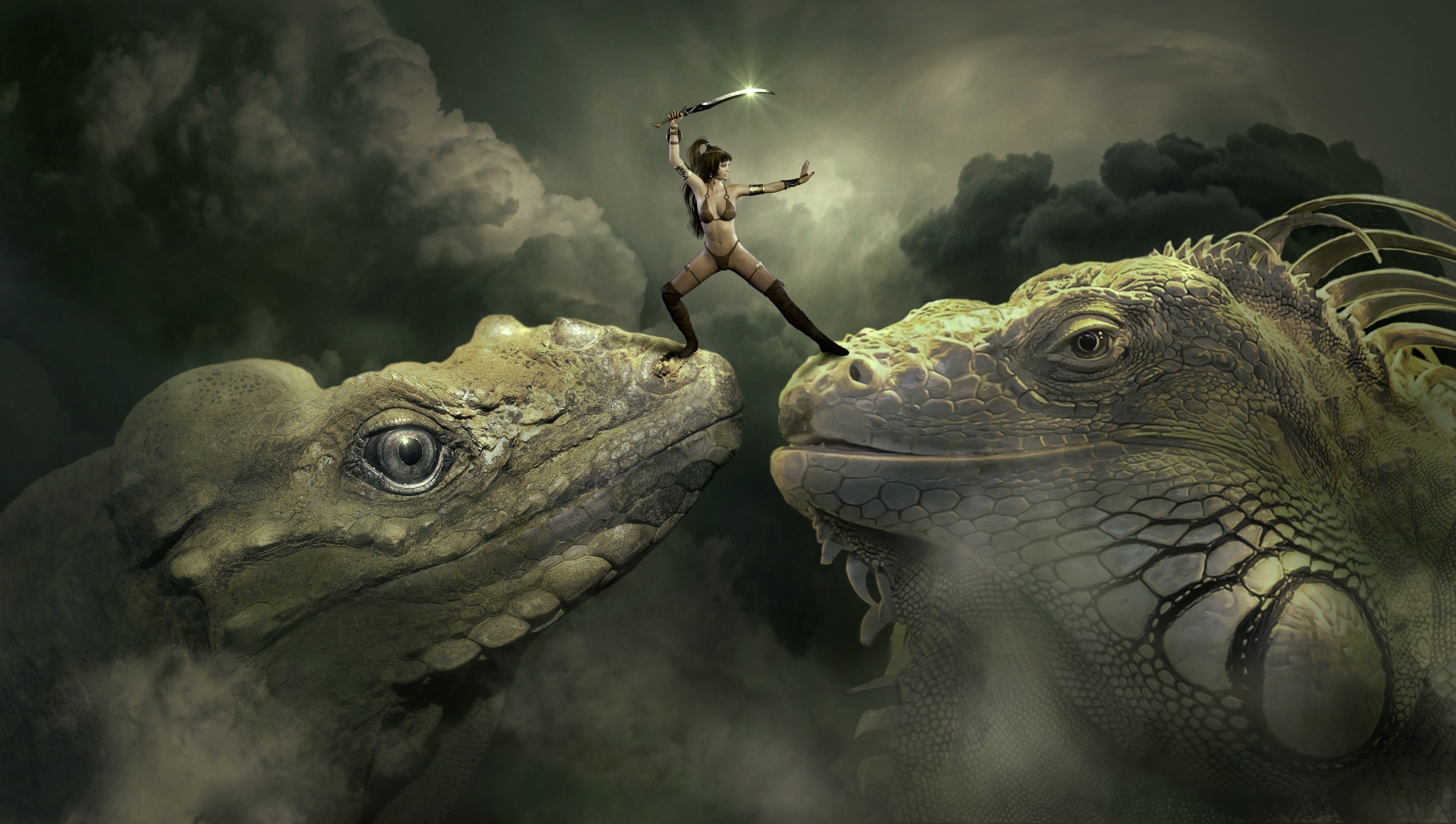 fighter, vertebrate, dramatic, animal, atmosphere, Fantasy, clouds, gloomy, animal scale, sky, warning sign, surreal, mysterious, iguana, nature, standing, HD Wallpaper