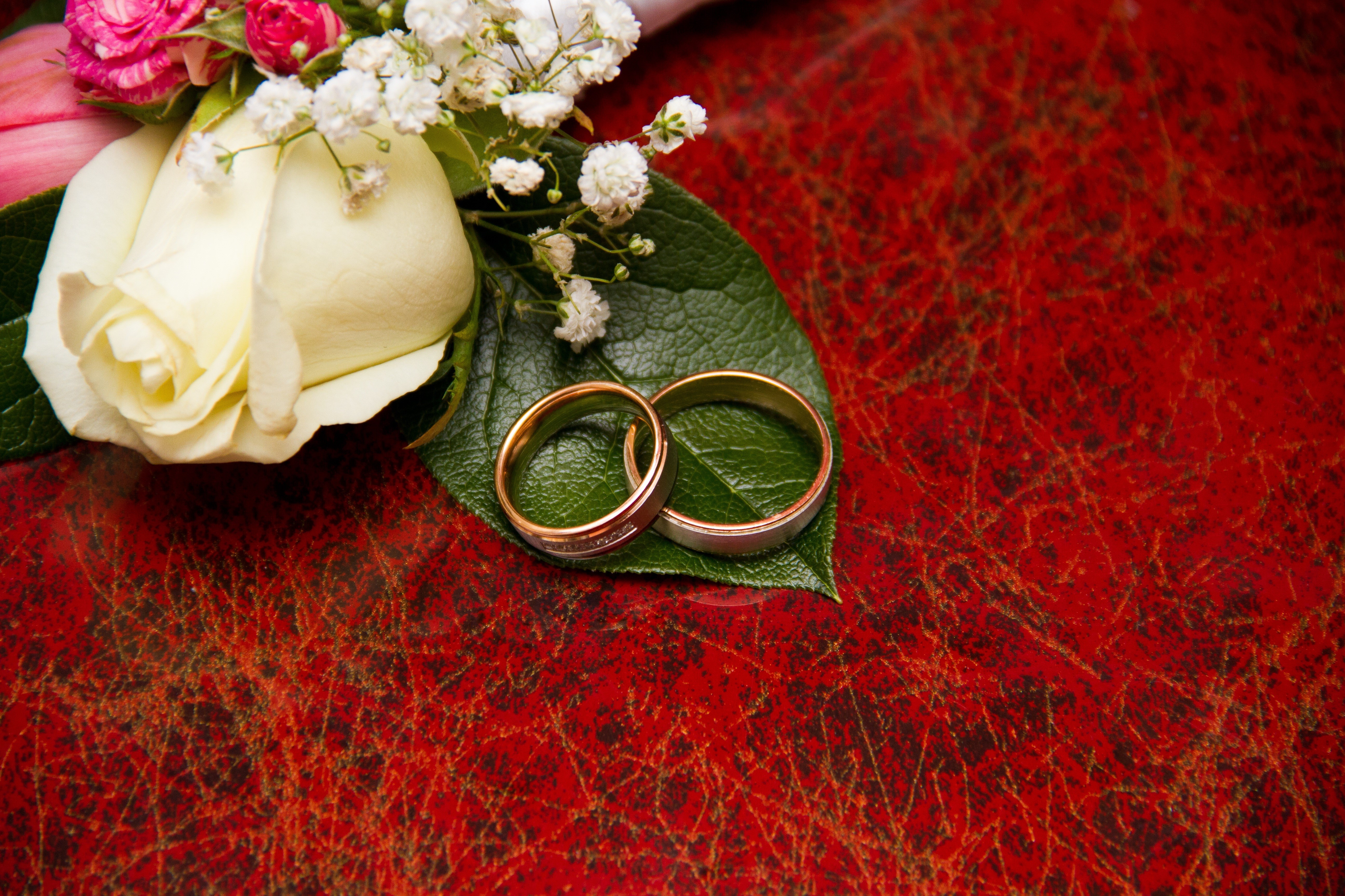 indoors, high angle view, red, green leaves, life events, close-up, personal accessory, bride, happiness, wedding, flowering plant, textile, engagement, HD Wallpaper