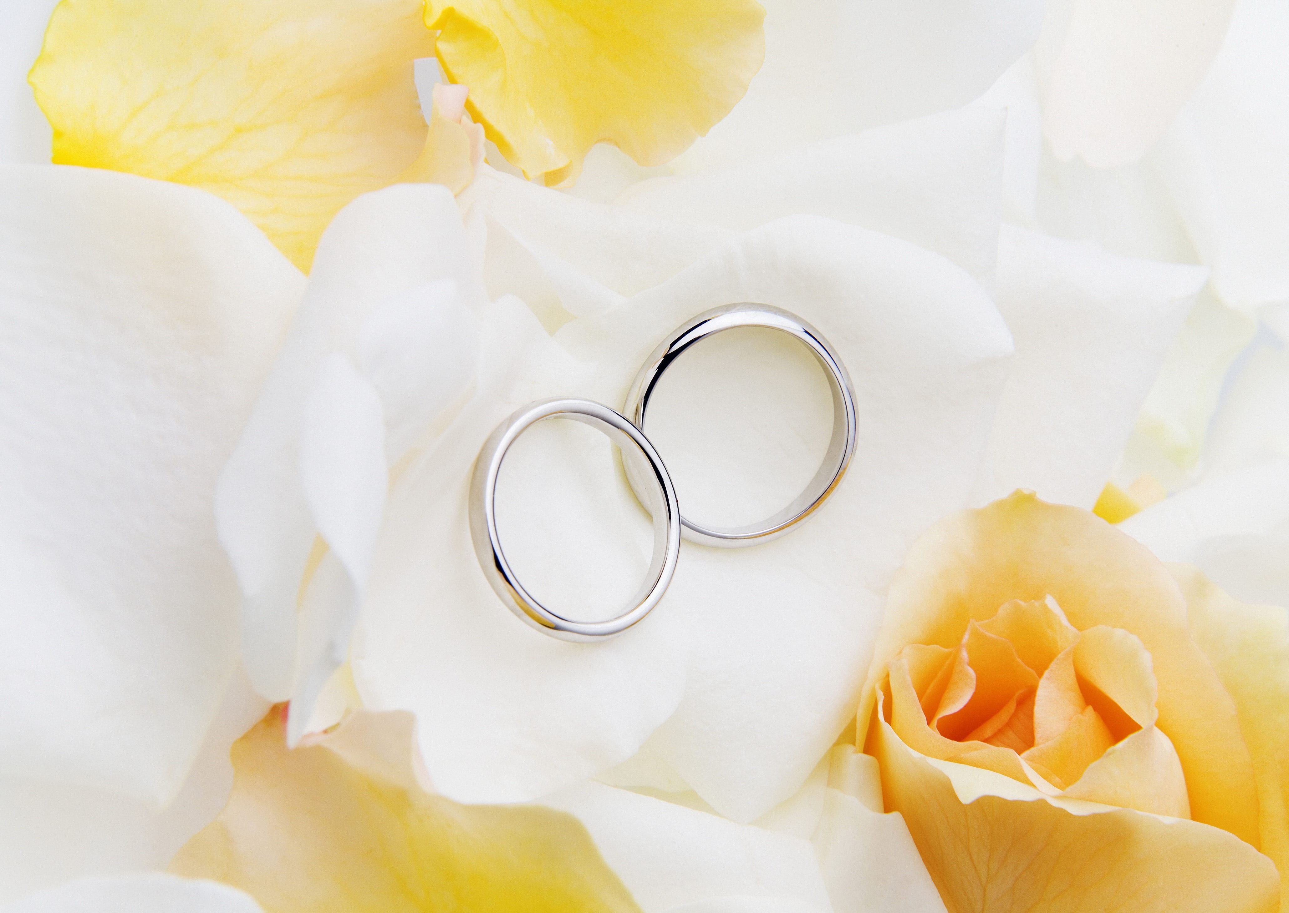plant, jewelry, freshness, close-up, no People, fragility, white color, positive emotion, single Flower, nature, petal, two, yellow, rose - Flower, wedding, HD Wallpaper
