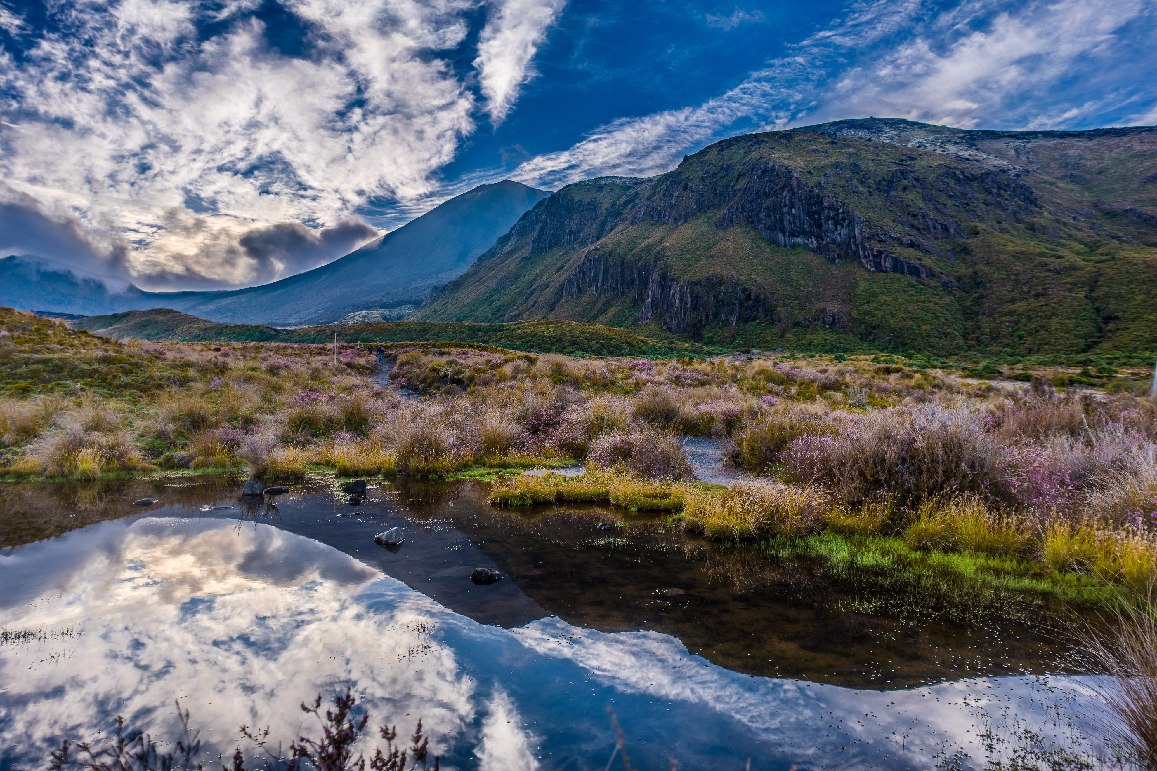 new zealand, outdoors, trekkers, crossing, non-urban scene, tranquil scene, alpine, idyllic, lava, snowcapped mountain, plant, volcano, hiking, sunny, island, HD Wallpaper