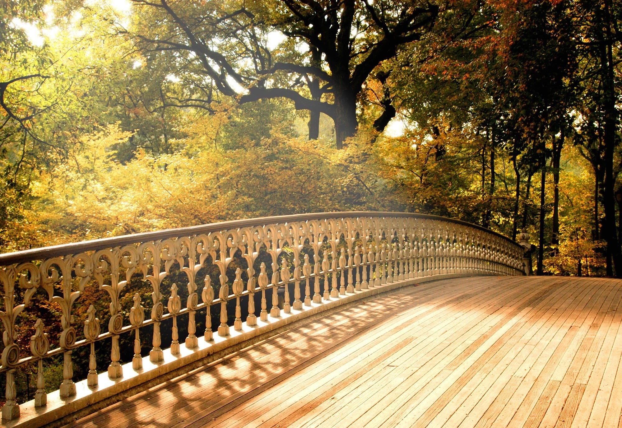 season, forest, bridge, the way forward, change, shadow, sunlight, cast Iron, leaf, footpath, woodland, trees, light, park - Man Made Space, plant, beauty In Nature, HD Wallpaper