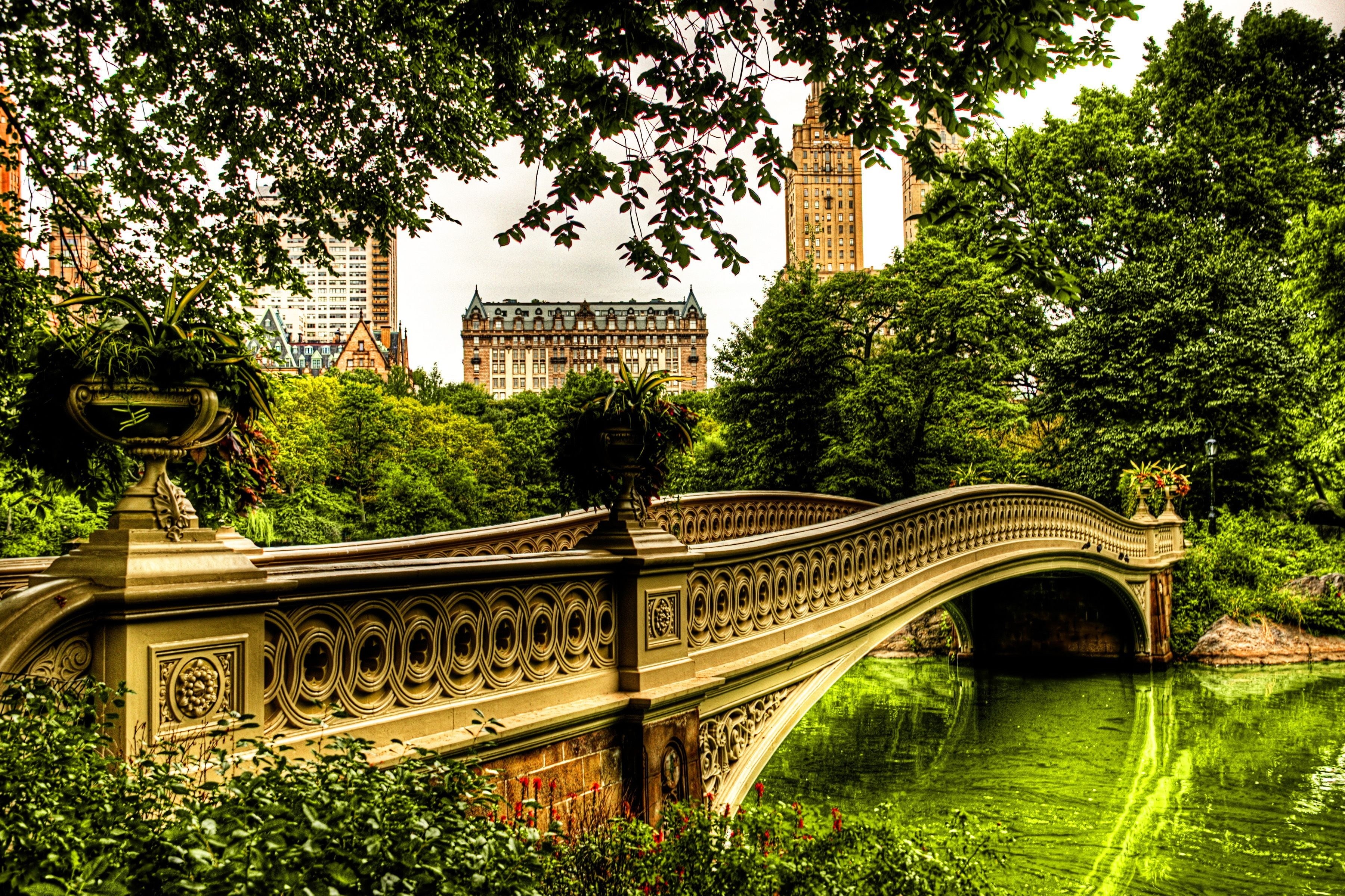 park, arch bridge, tree, nature, central Park, gold, cast Iron, travel, intricate Arabesque, urban Scene, bridge, bridge - Man Made Structure, water, day, HD Wallpaper