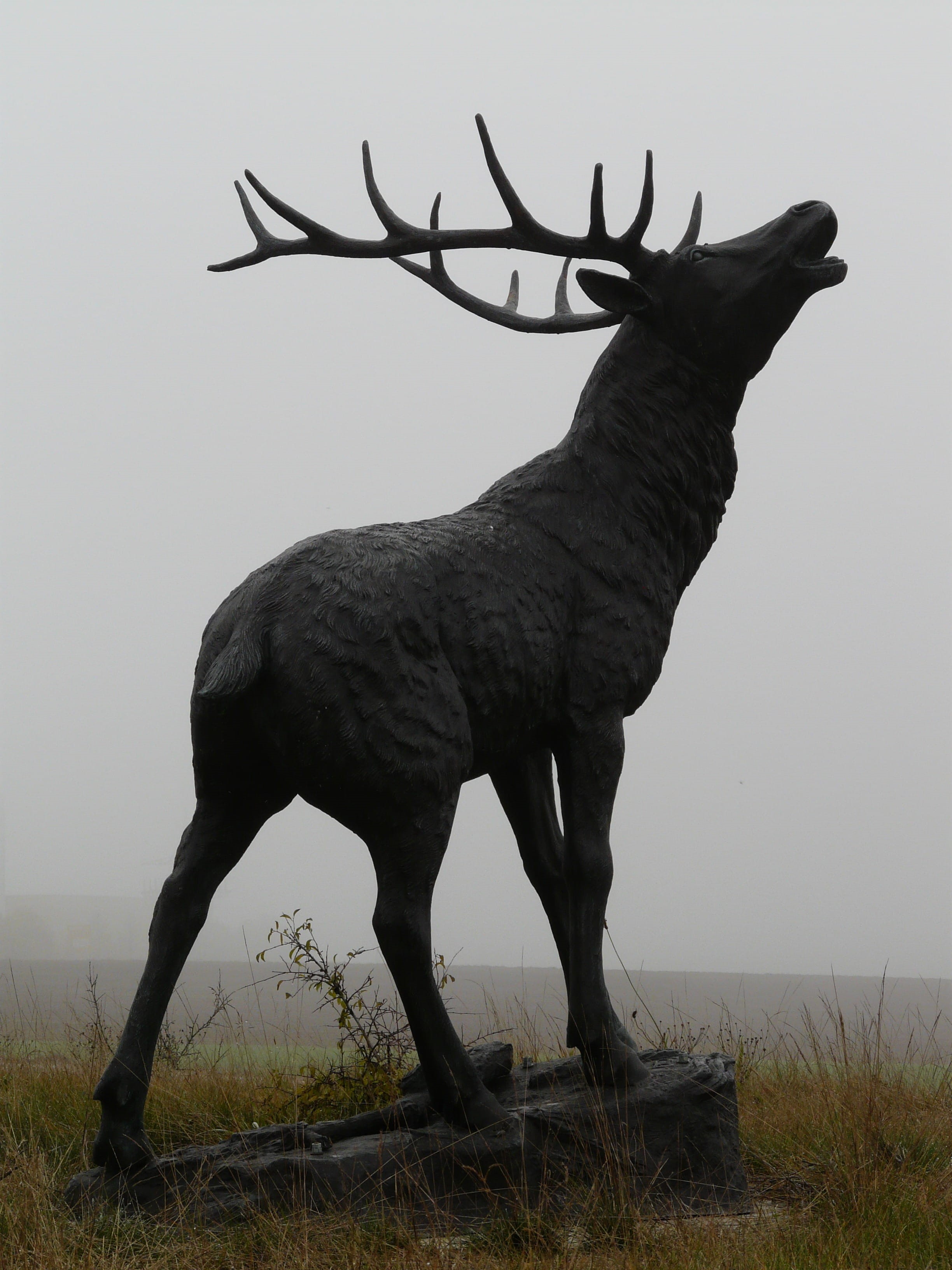 day, statue, grass, hirsch, animals in the wild, nature, no people, silhouette, one animal, standing, herbivorous, vertebrate, animal, artiodactyla, field, Phone HD Wallpaper