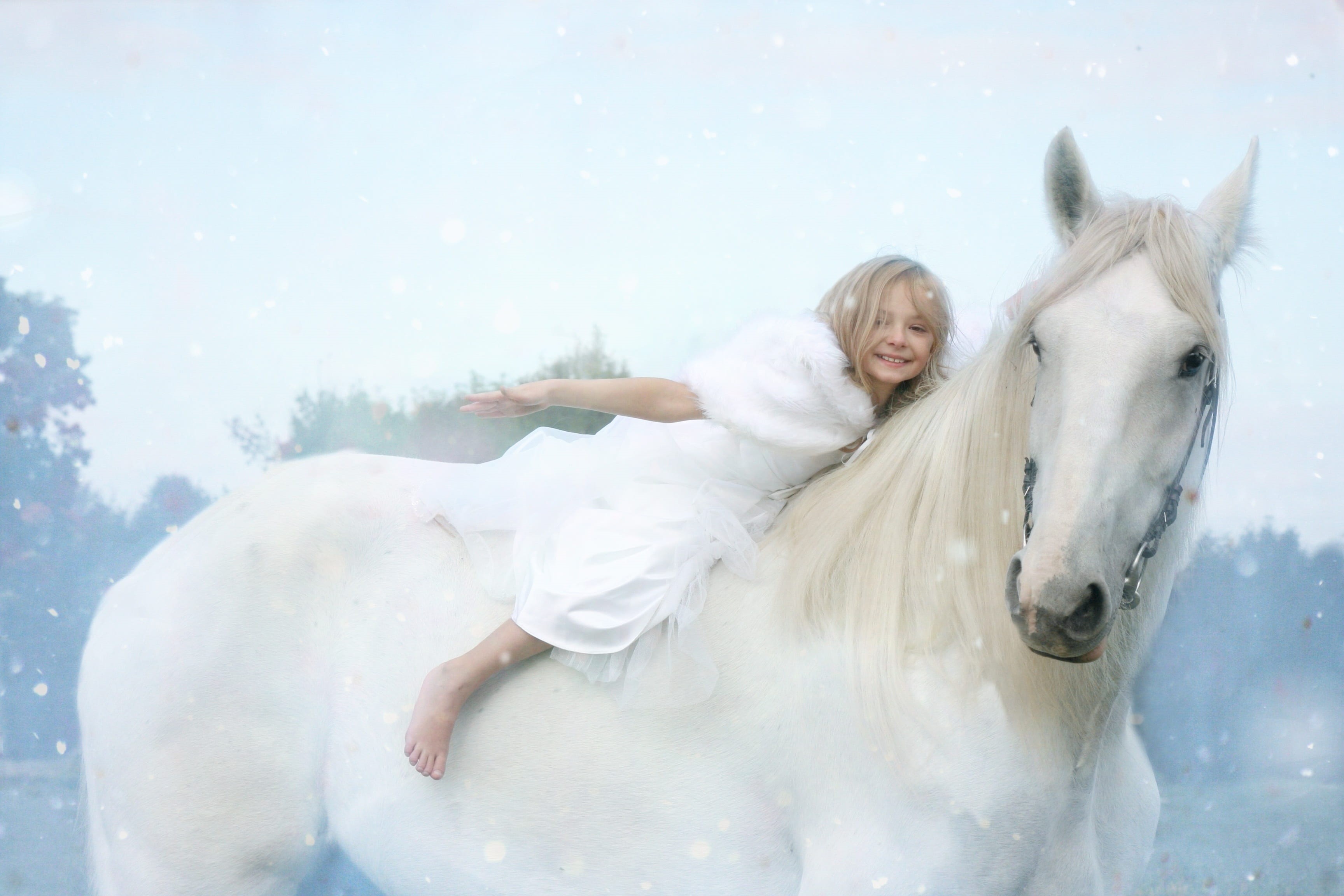 mammal, joy, real people, domestic animals, fun, winter, one animal, december, shire, 2K, cold temperature, white, riding, snow, season, pets, women, holiday, HD Wallpaper