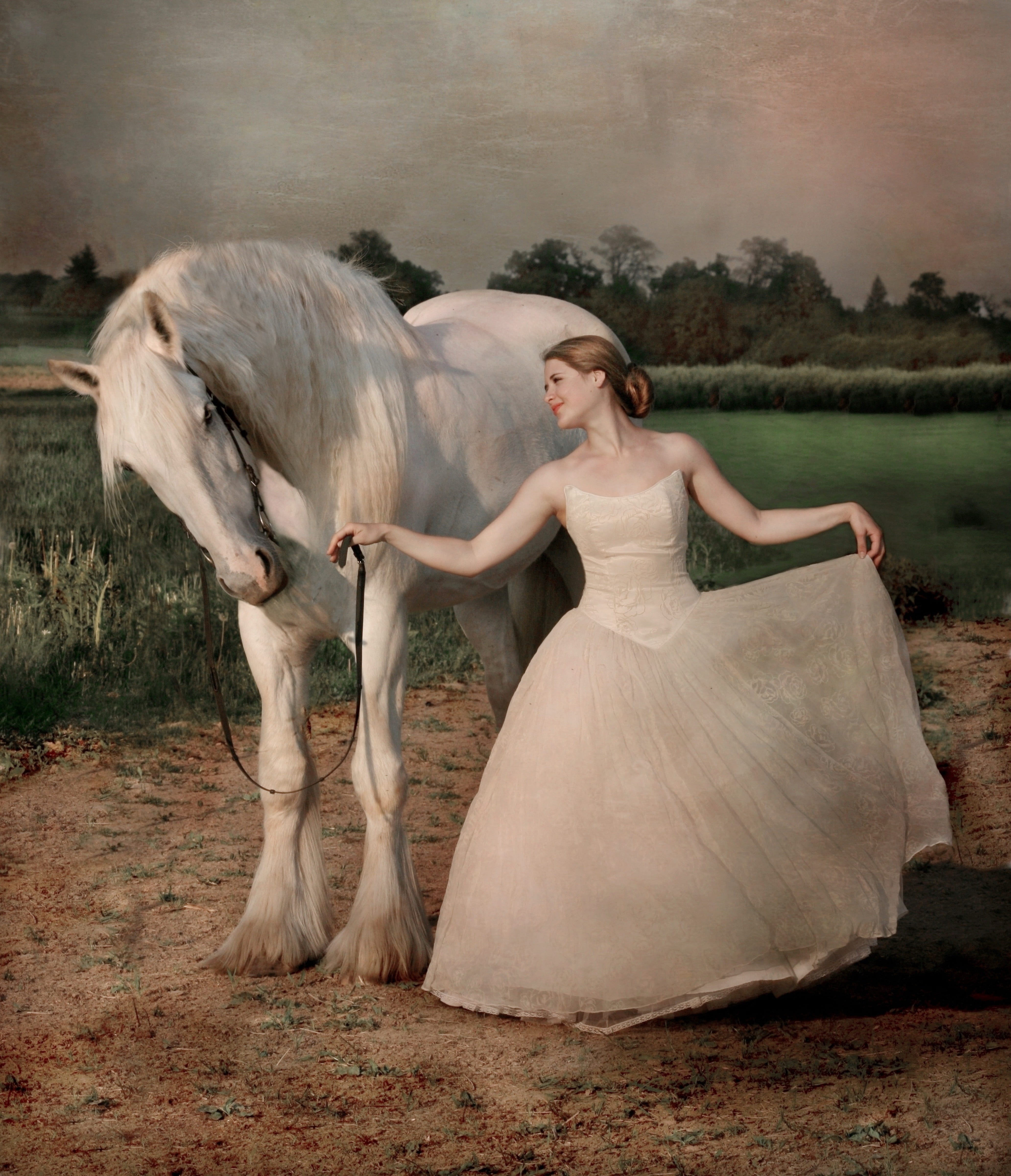 land, domestic animals, love, herbivorous, shire horse, gracefulness, field, livestock, beautiful girl, equine, summer, nature, white dress, dancing, adult, Phone HD Wallpaper