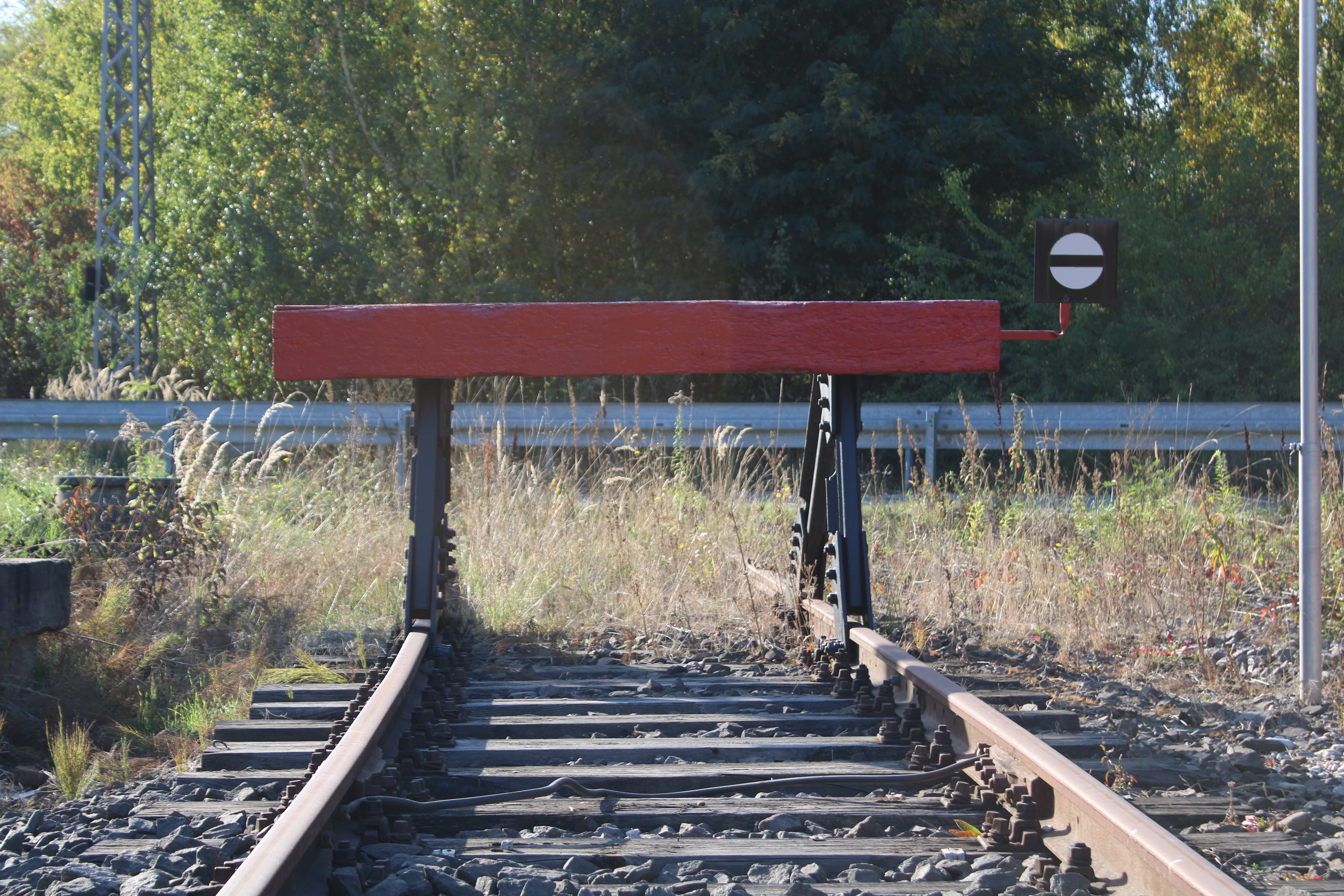 rail transportation, track completion, tree, profen, 5K, gleise, plant, growth, railway station, communication, buffer stop, forest, railroad track, bag track, HD Wallpaper