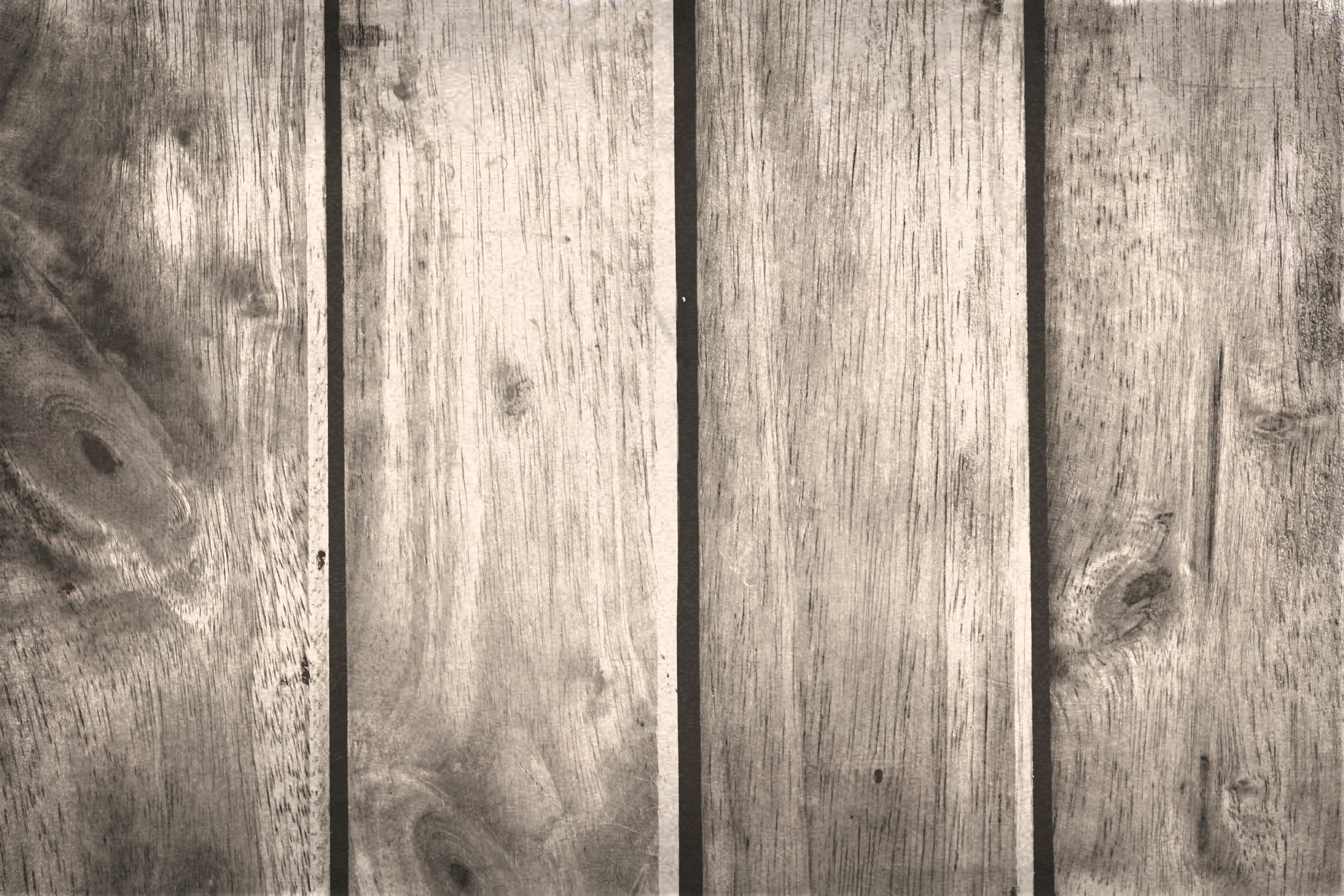 rough, paper, backgrounds, structure, crease, day, ragged, decay, wooden plank, textured, damaged, mottled, grain, texture, faded, aged, succulent, broad, HD Wallpaper