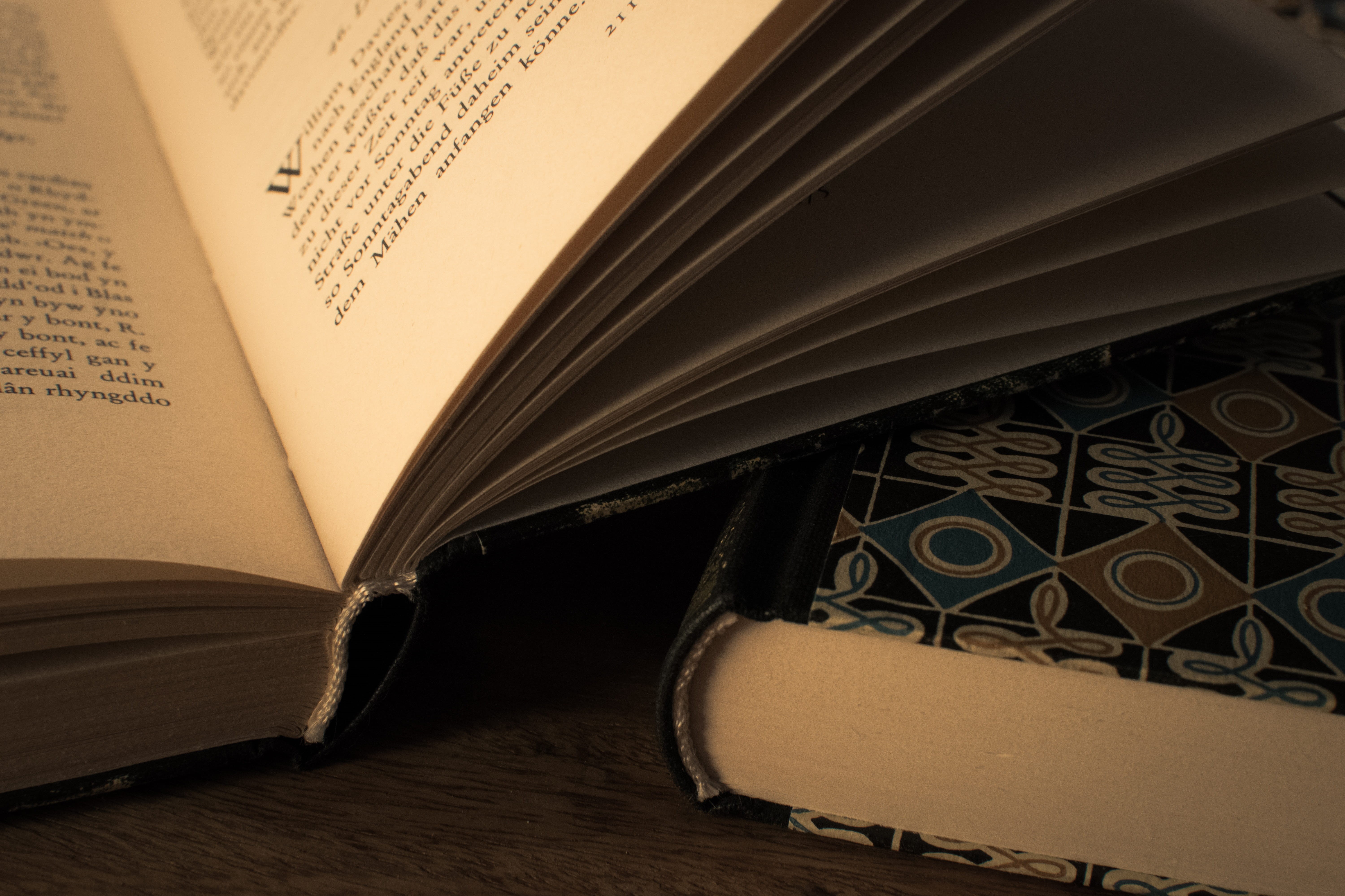 old, pattern, architecture, knowledge, 5K, antique, ceiling, company, romanesque, connection, page, book stack, learning, rhaeto romanic, library, narrative, HD Wallpaper