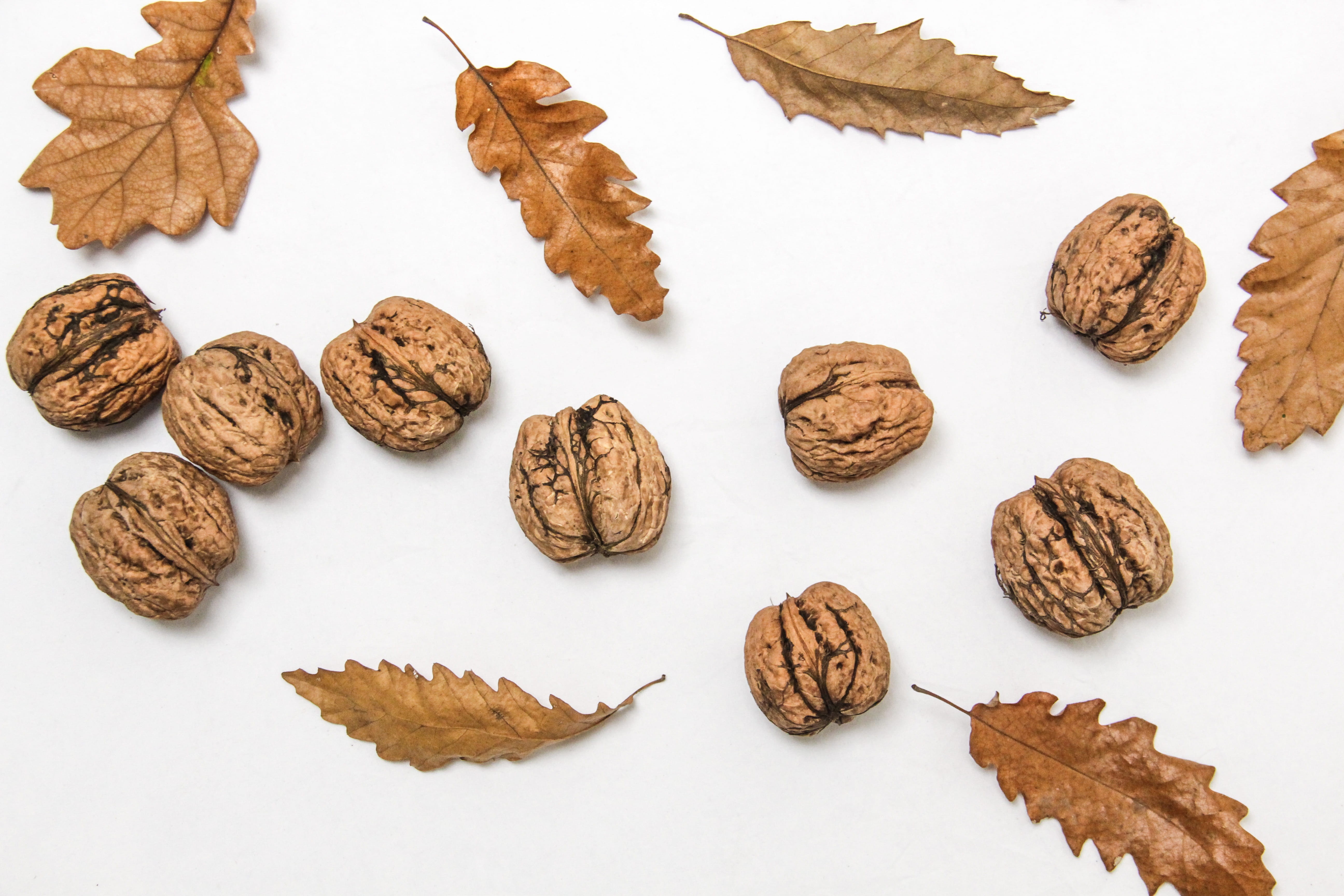 5K, food and drink, wellbeing, chinese herbal medicine, no people, leaf, walnut, still life, healthy eating, group of objects, nuts, dry, white background, HD Wallpaper