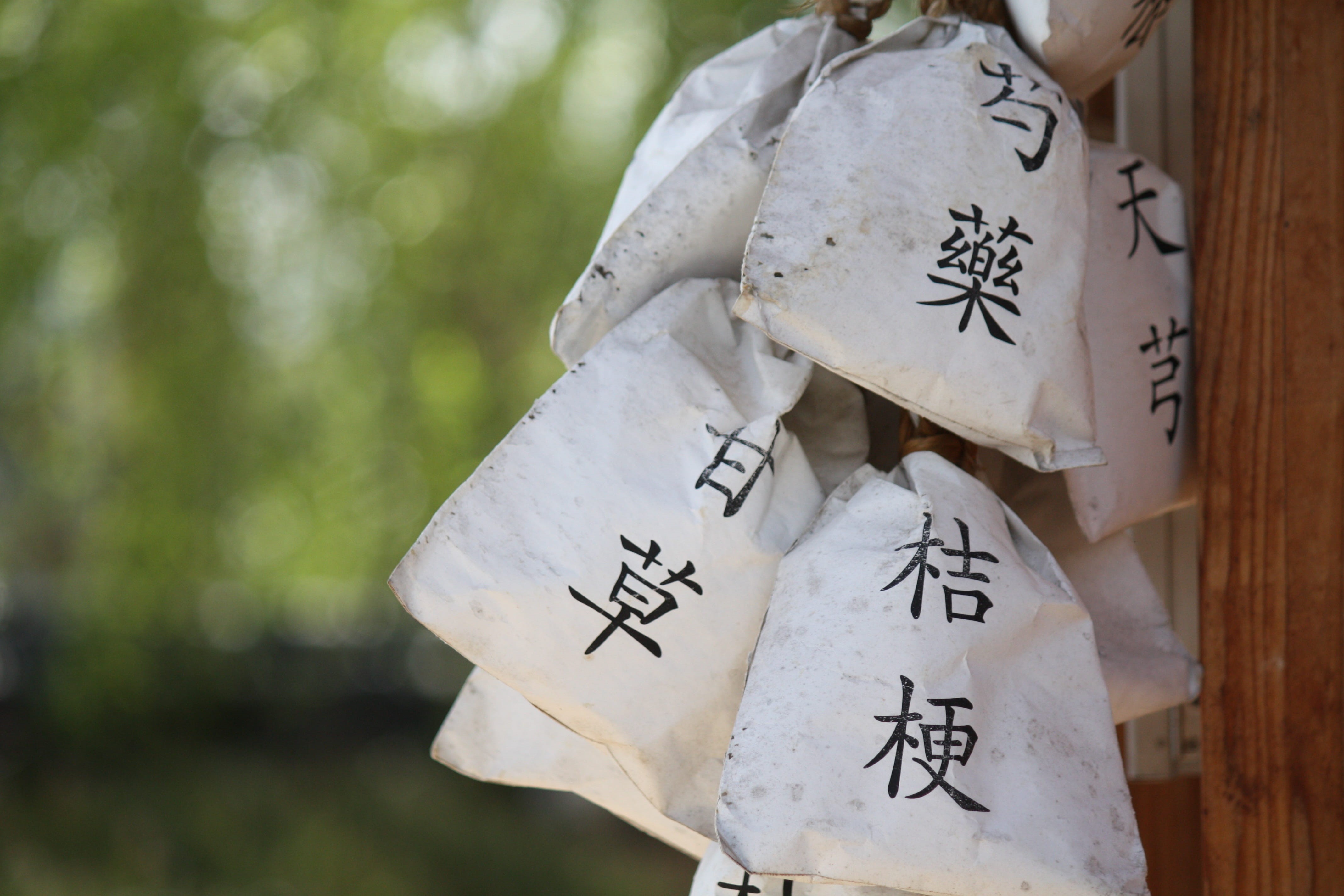 oriental, Bags, Chinese Medicine, printed, communication, tcm, text, nature, one person, number, kanji, black, wall, Herbal, hanged, script, no people, HD Wallpaper