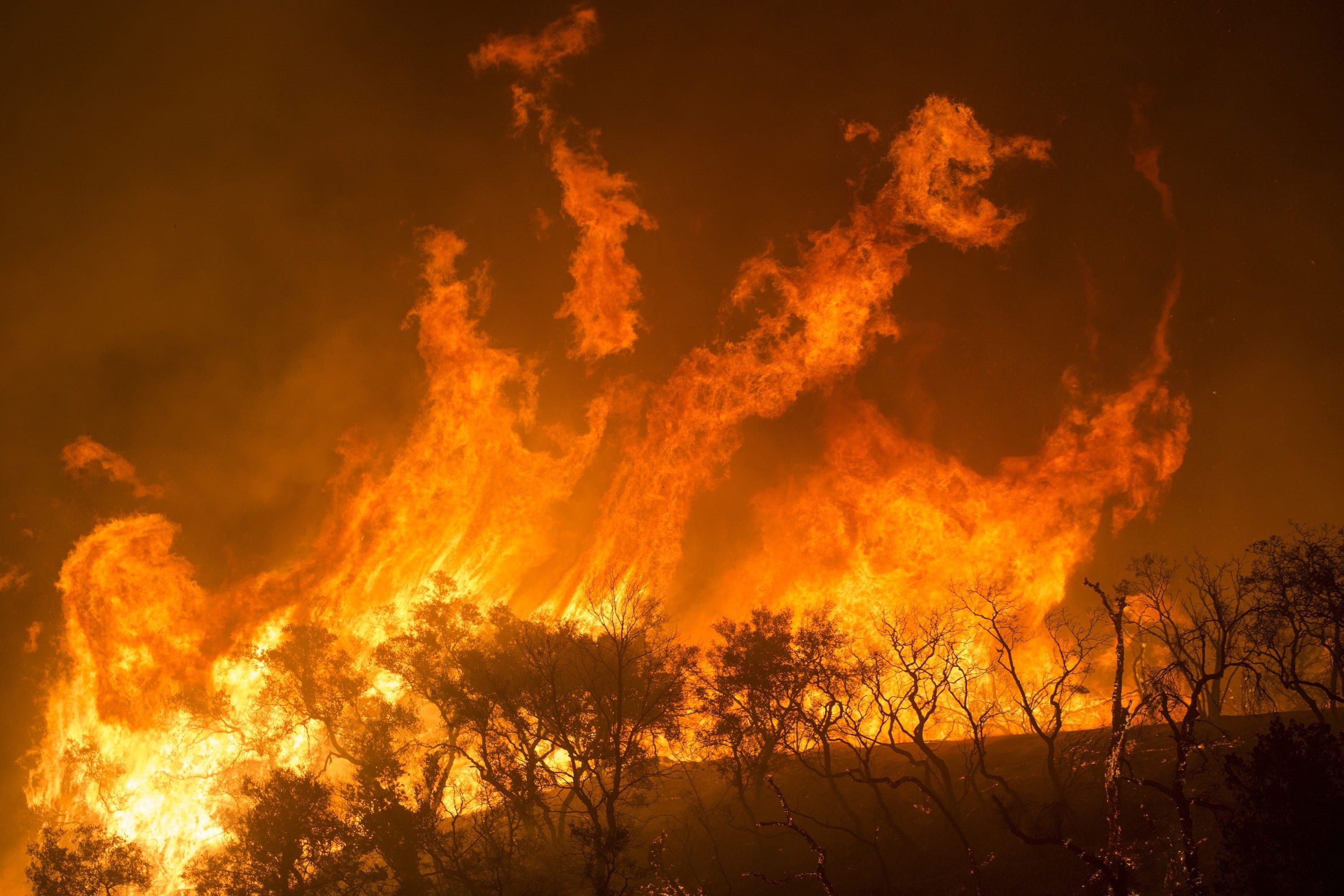 smoke, power in nature, trees, los padres, outdoors, usda, pollution, wildfire, national forest, wood, blaze, night, complex, heat, smoke - physical structure, HD Wallpaper