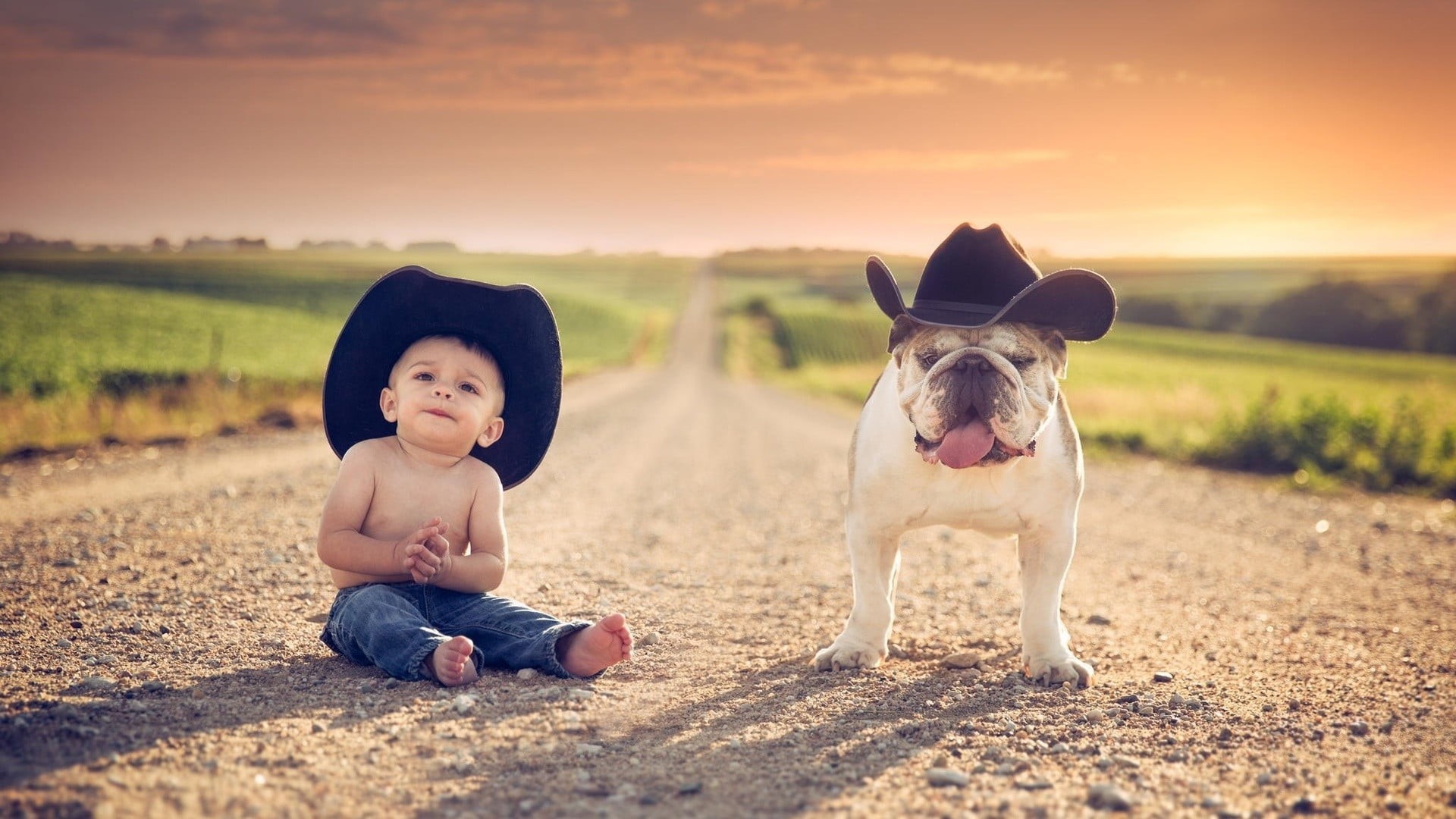 children, black, canine, cute, sunlight, cowboy hats, clothing, Nebraska, young, mammal, Jake Olson, one animal, domestic, full length, animals, 1080P, HD Wallpaper