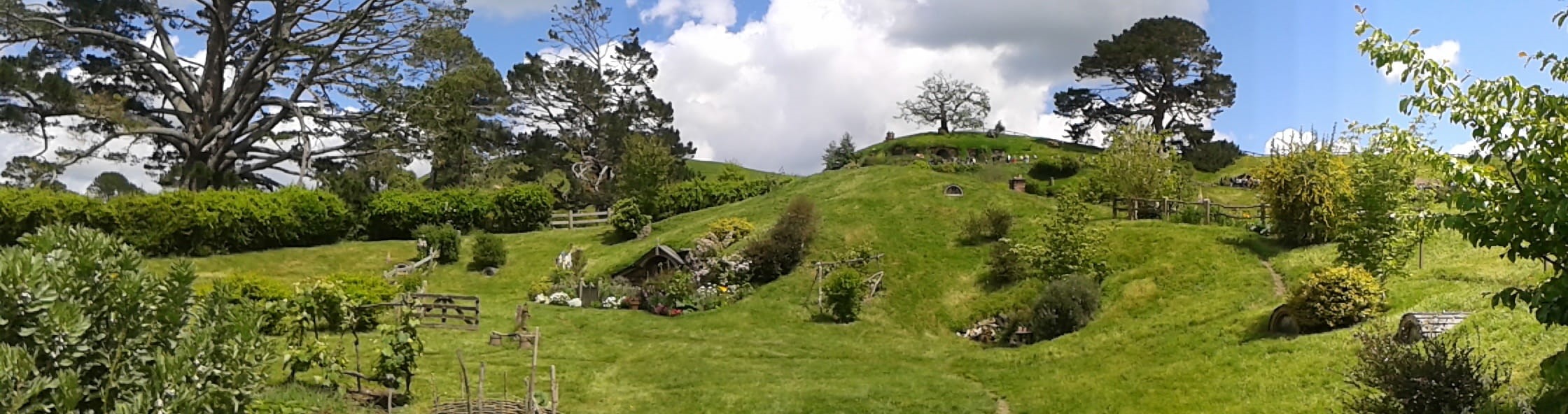 the hobbiton, plain, tree, beauty in nature, plant, green color, middle earth, panoramic, new zealand, day, animal themes, no people, outdoors, livestock, HD Wallpaper