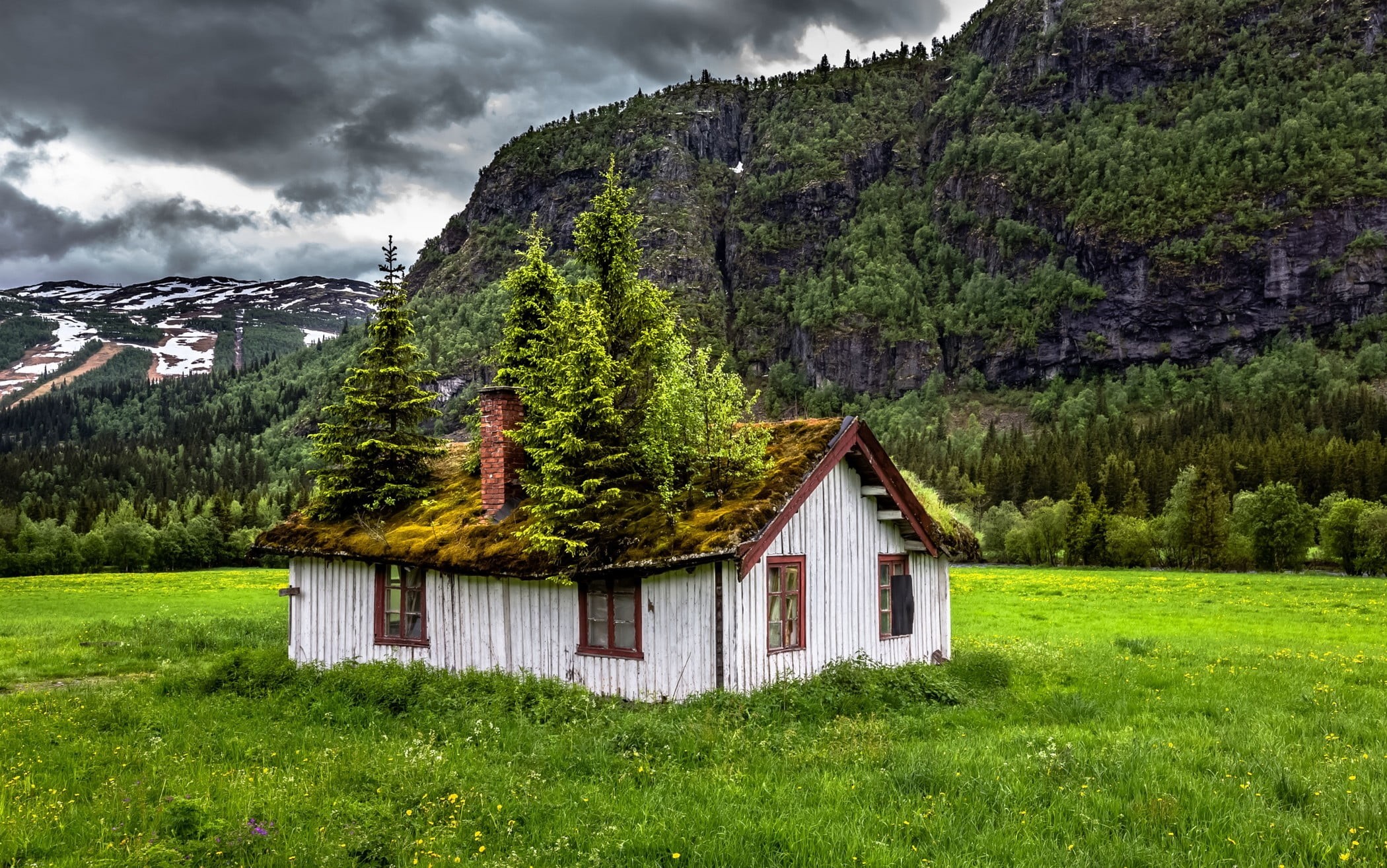 built structure, plant, mountains, grass, cabin, wooden, Norway, green color, trees, sky, summer, landscape, 1080P, tranquility, tree, green, building, HD Wallpaper