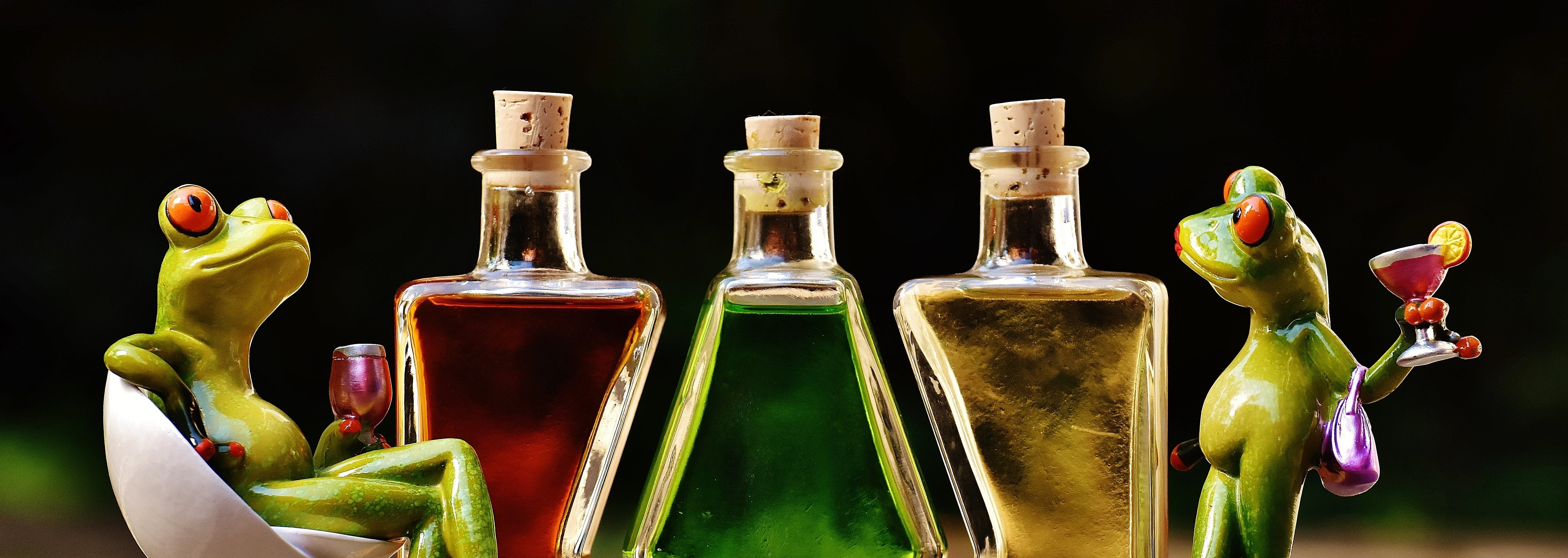 wine, frogs, bird, cork, food and drink, fun, studio shot, drink, cocktail, funny, group of objects, medium group of objects, alcohol, representation, black background, HD Wallpaper