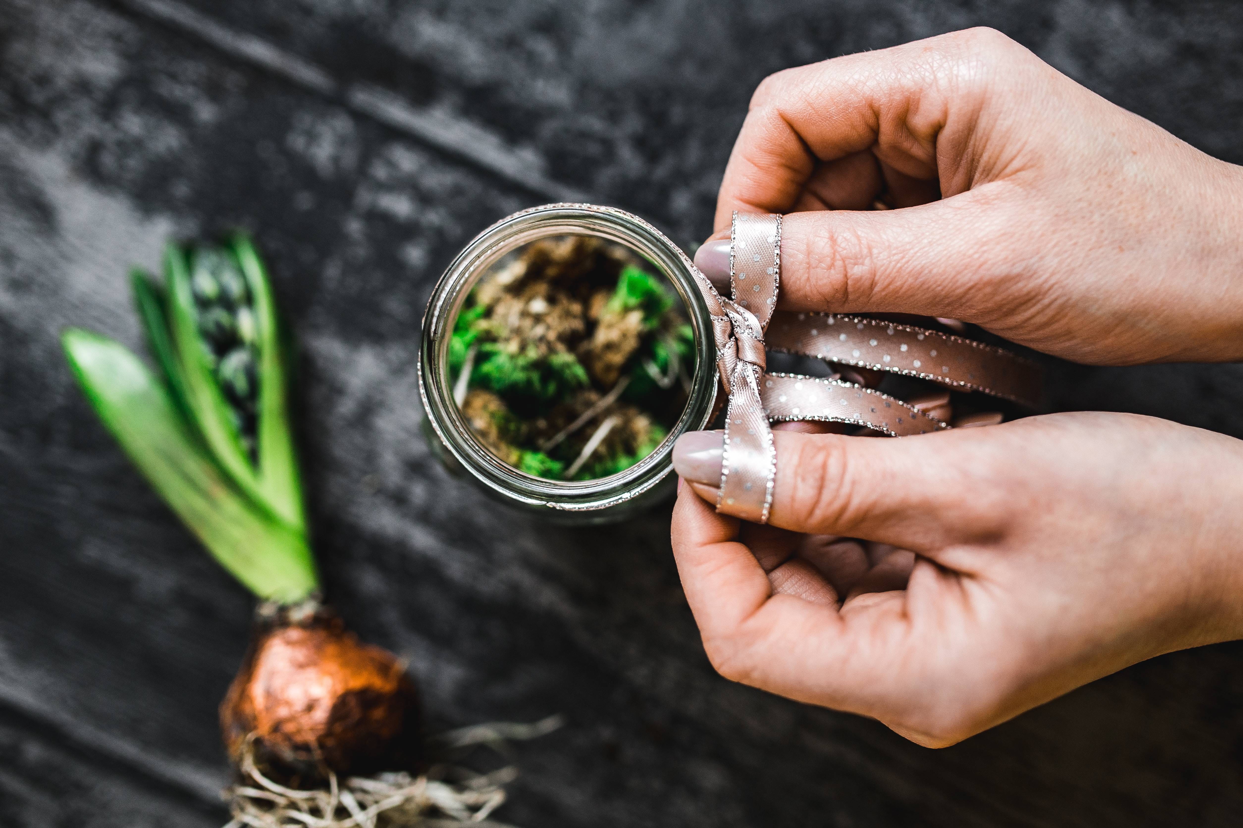 Woman, holding, finger, only women, planting, food, human body part, people, little, body part, freshness, green Color, adult, focus on foreground, adornment, HD Wallpaper