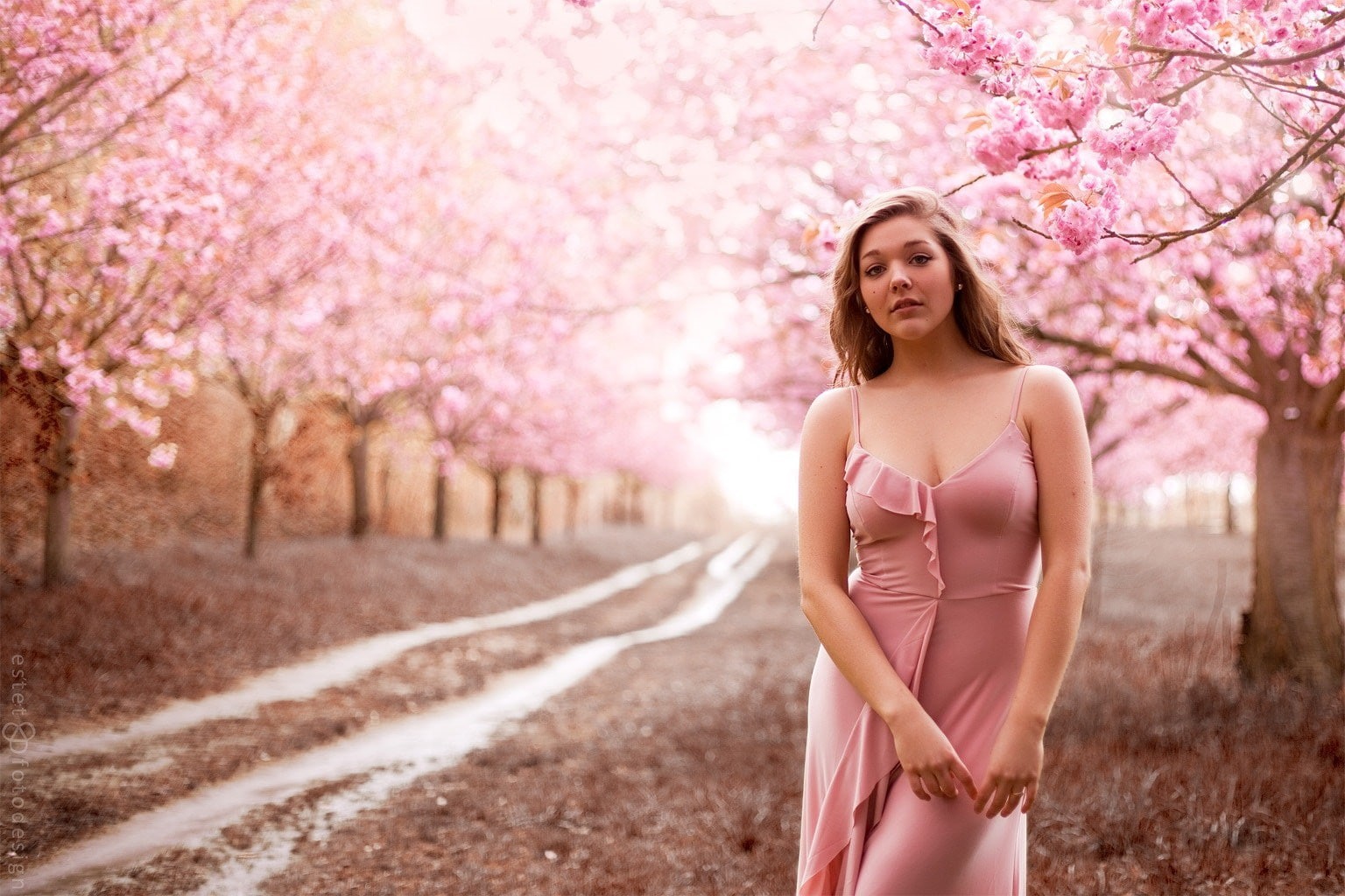 women, women outdoors, 720P, 500px, cherry blossom, Trid Estet, curvy, HD Wallpaper