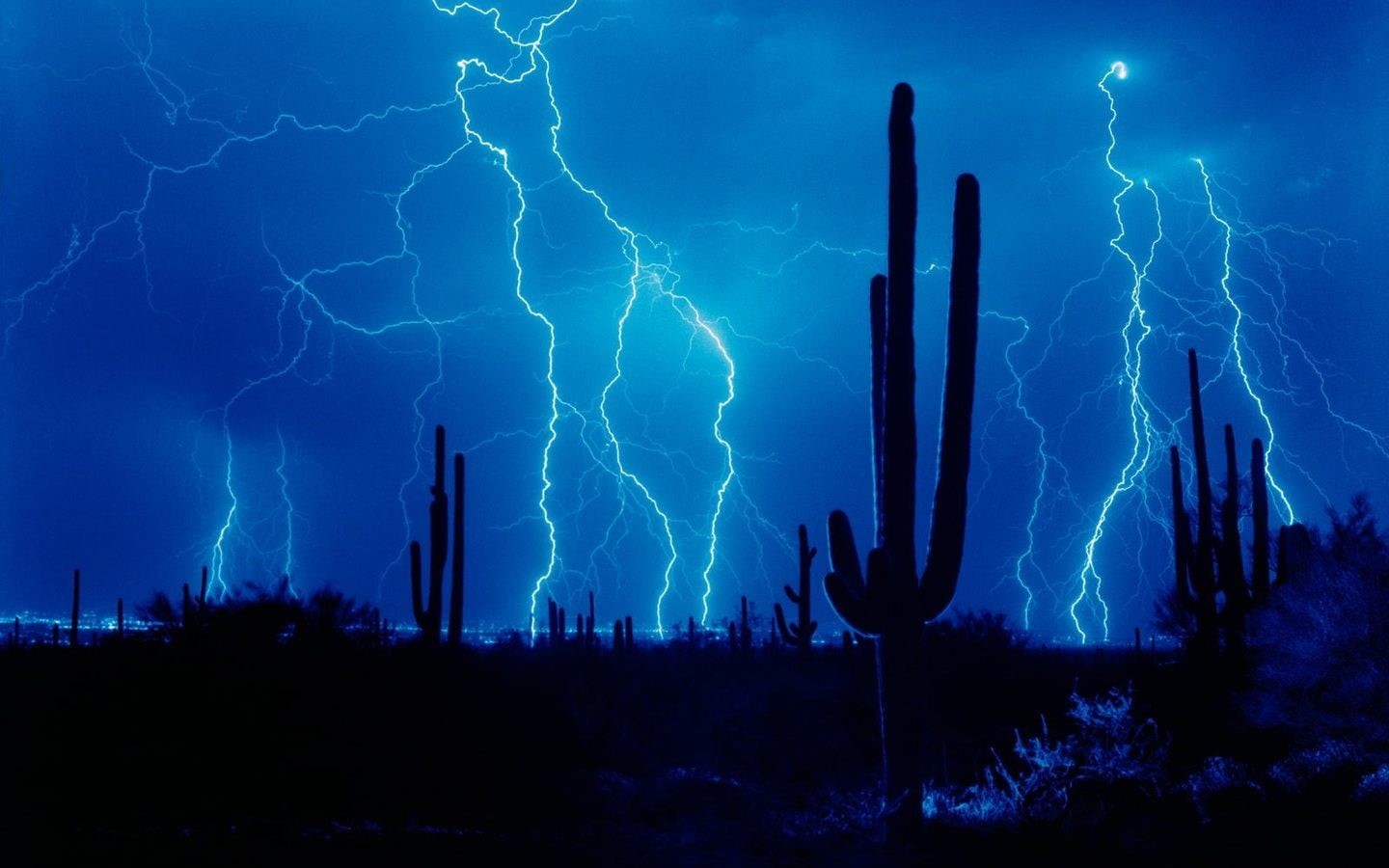 720P, beauty in nature, sky, tree, gray, thunderstorm, lightning, warning sign, power in nature, forked lightning, storm, nature, electricity, outdoors, HD Wallpaper