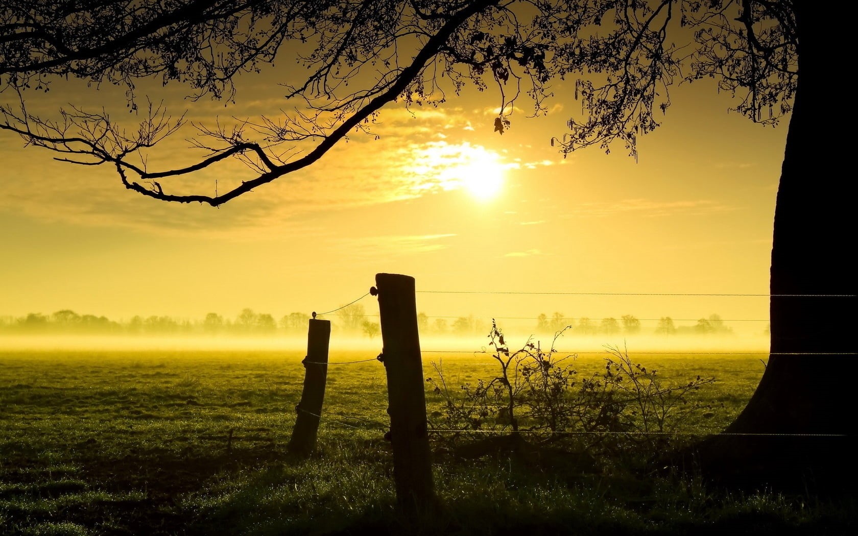 beauty In Nature, meadow, non-Urban Scene, sunrise - Dawn, 720P, wooden post, sunbeam, plant, field, dawn, autumn, land, environment, silhouette, colors, HD Wallpaper