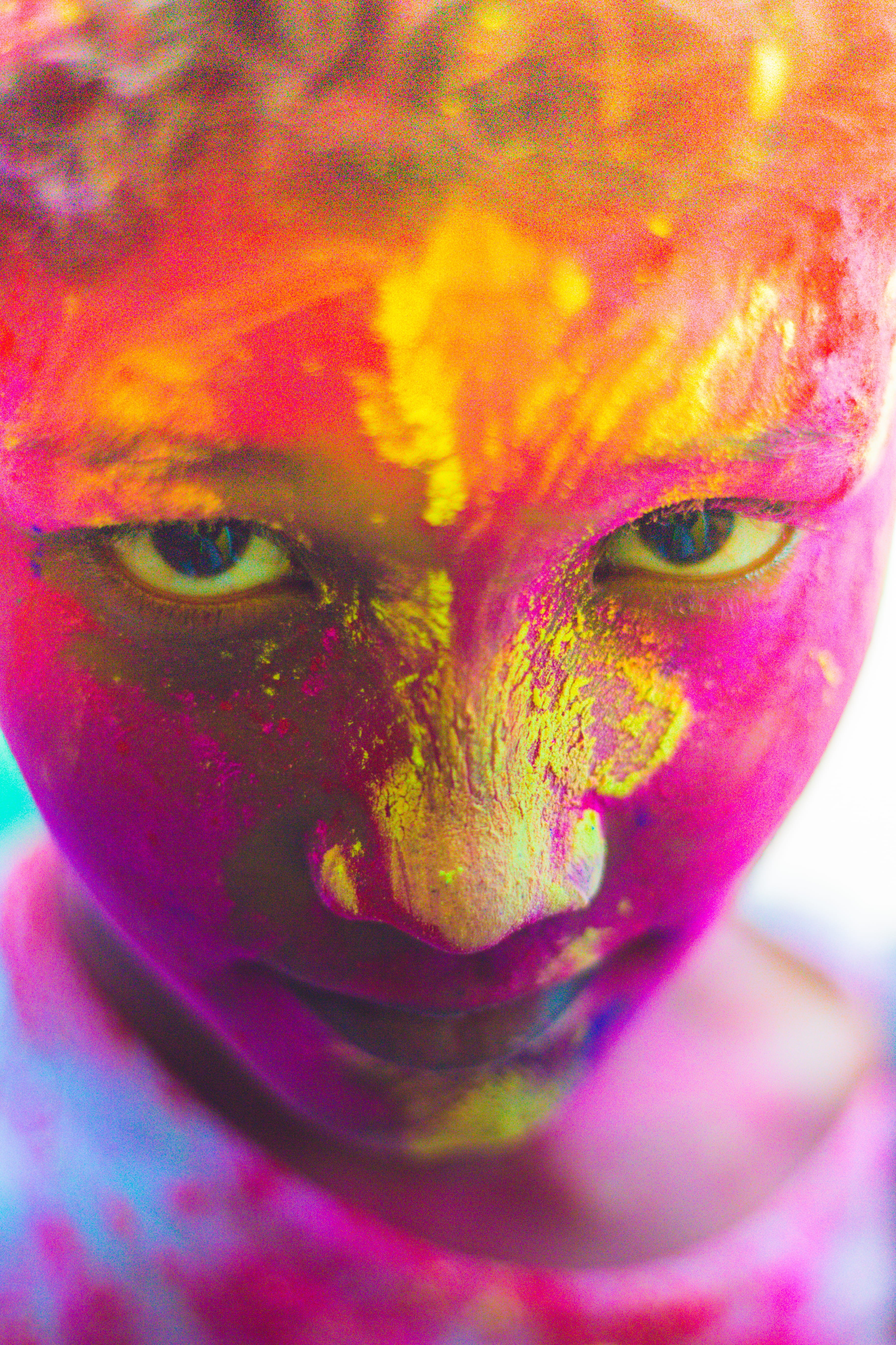 eyes, front view, holi, motley, colors, real people, women, bright, painting, human body part, child, close-up, coloring, human face, body paint, art, color, Phone HD Wallpaper