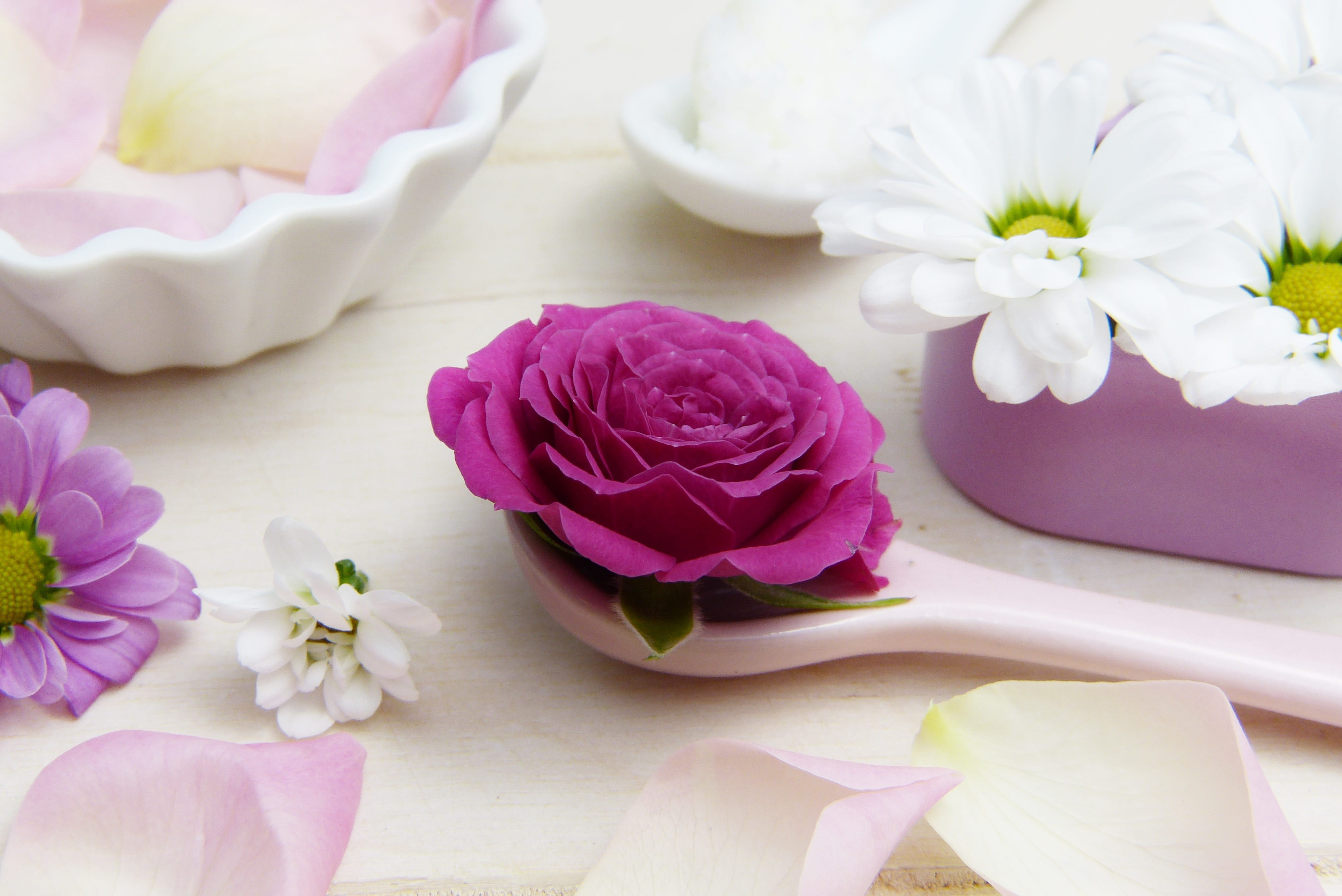healthy, rose, self-made, swim, nature, skin, close-up, purple, acne, softness, no people, petal, perfume, table, coconut oil, natural ingredients, ornament, HD Wallpaper