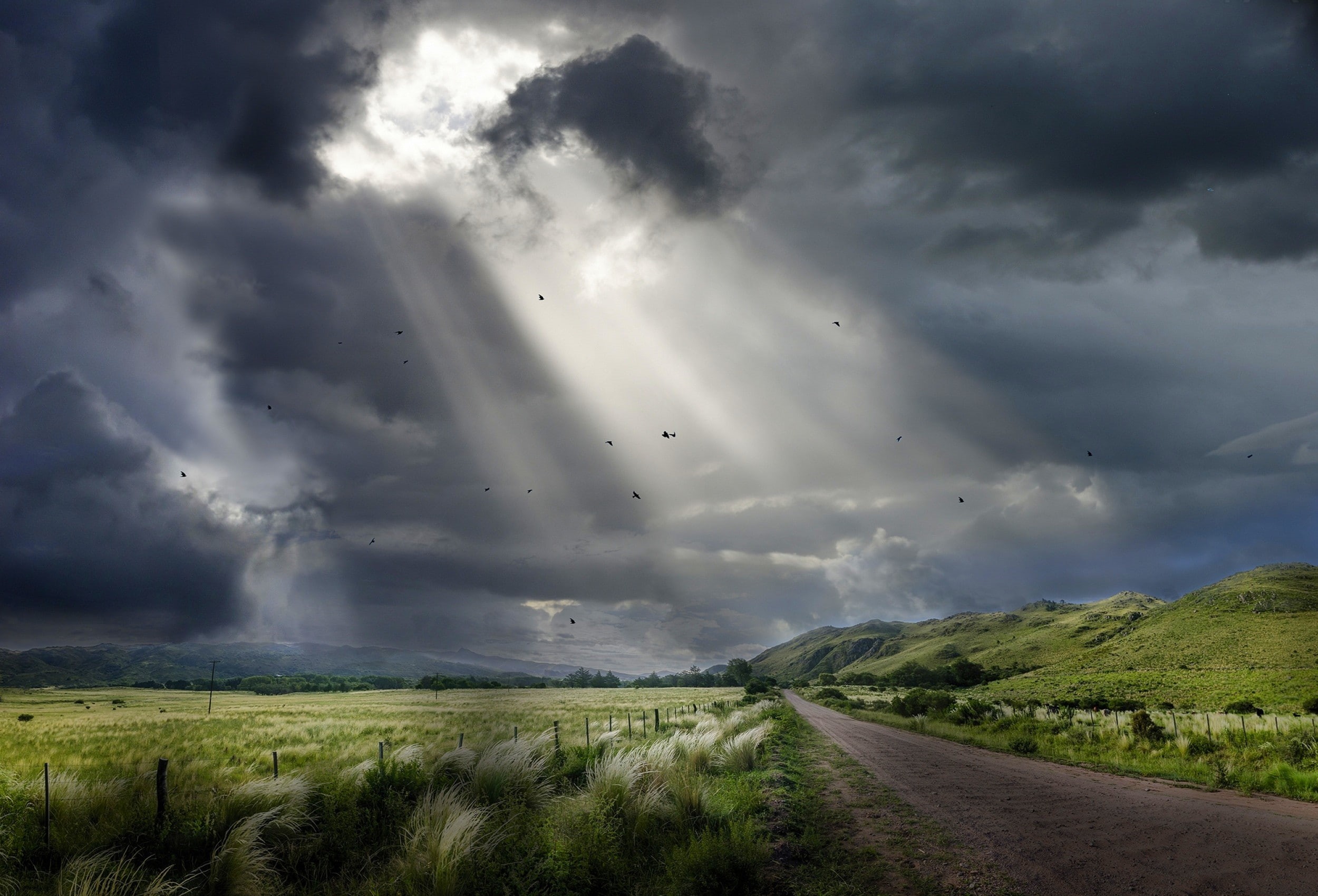 dramatic sky, birds, no people, nature, direction, the way forward, scenics - nature, tranquility, landscape, sunbeams, outdoors, storm cloud, grass, storm, HD Wallpaper