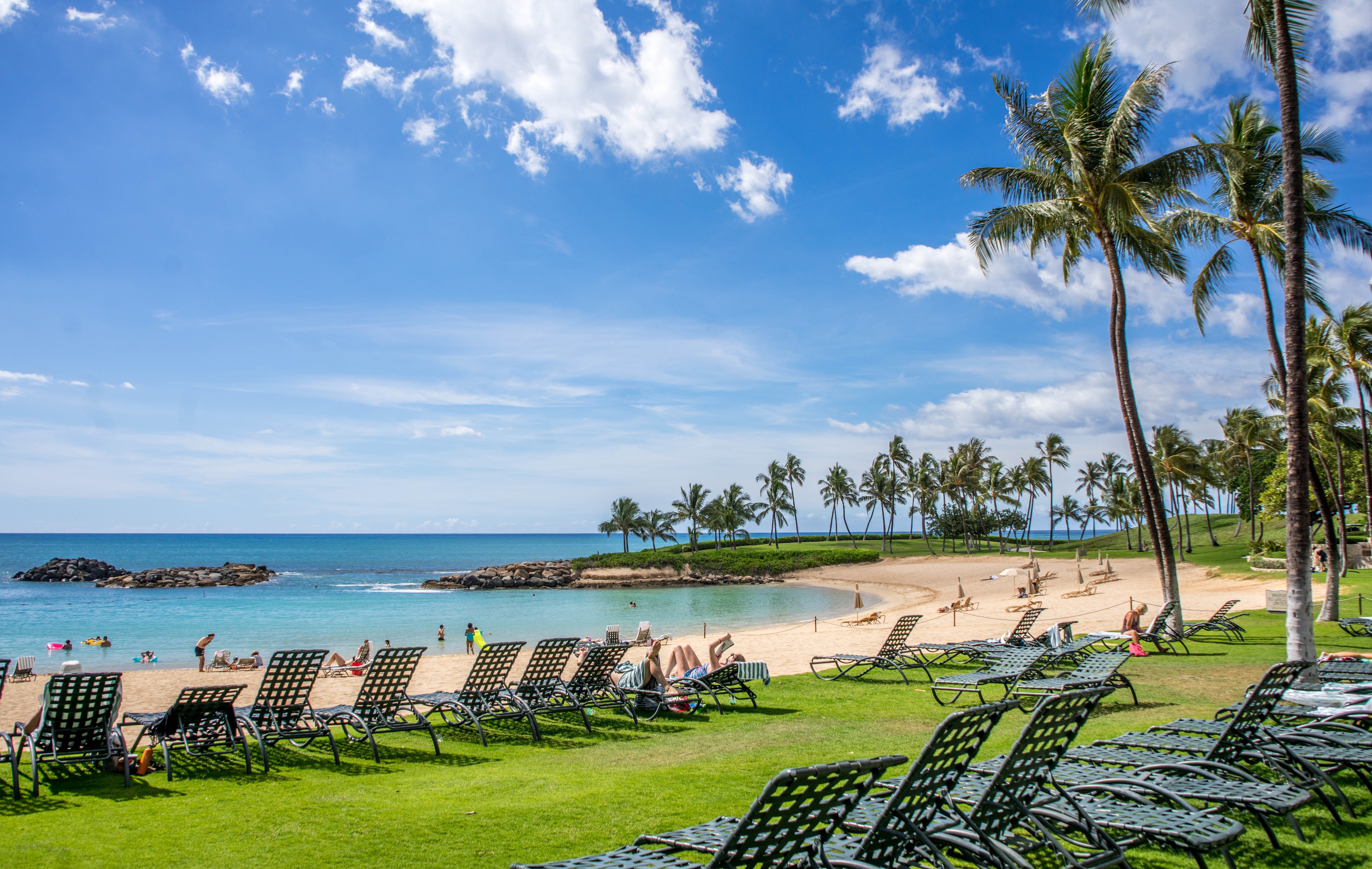 water, resort, scene, clouds, near, palm, 5K, body, ko olina, green color, chairs, vacation, coast, plant, sky, horizon over water, beauty in nature, grass, HD Wallpaper