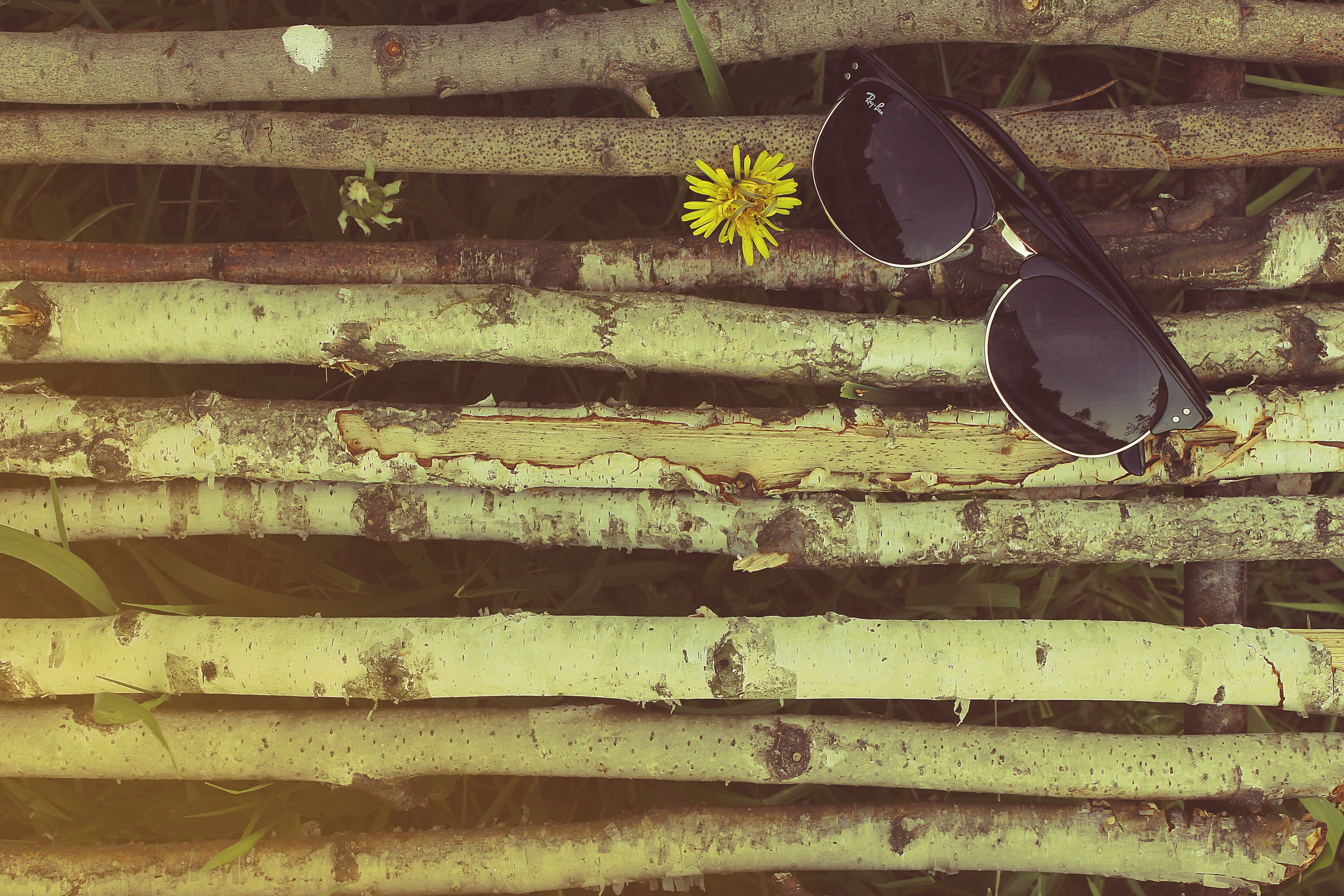 day, wooden, no people, backgrounds, wall, Ray-Ban, frame, personal accessory, framed, wayfarer, outdoors, 5K, textured, building exterior, pattern, branch, HD Wallpaper