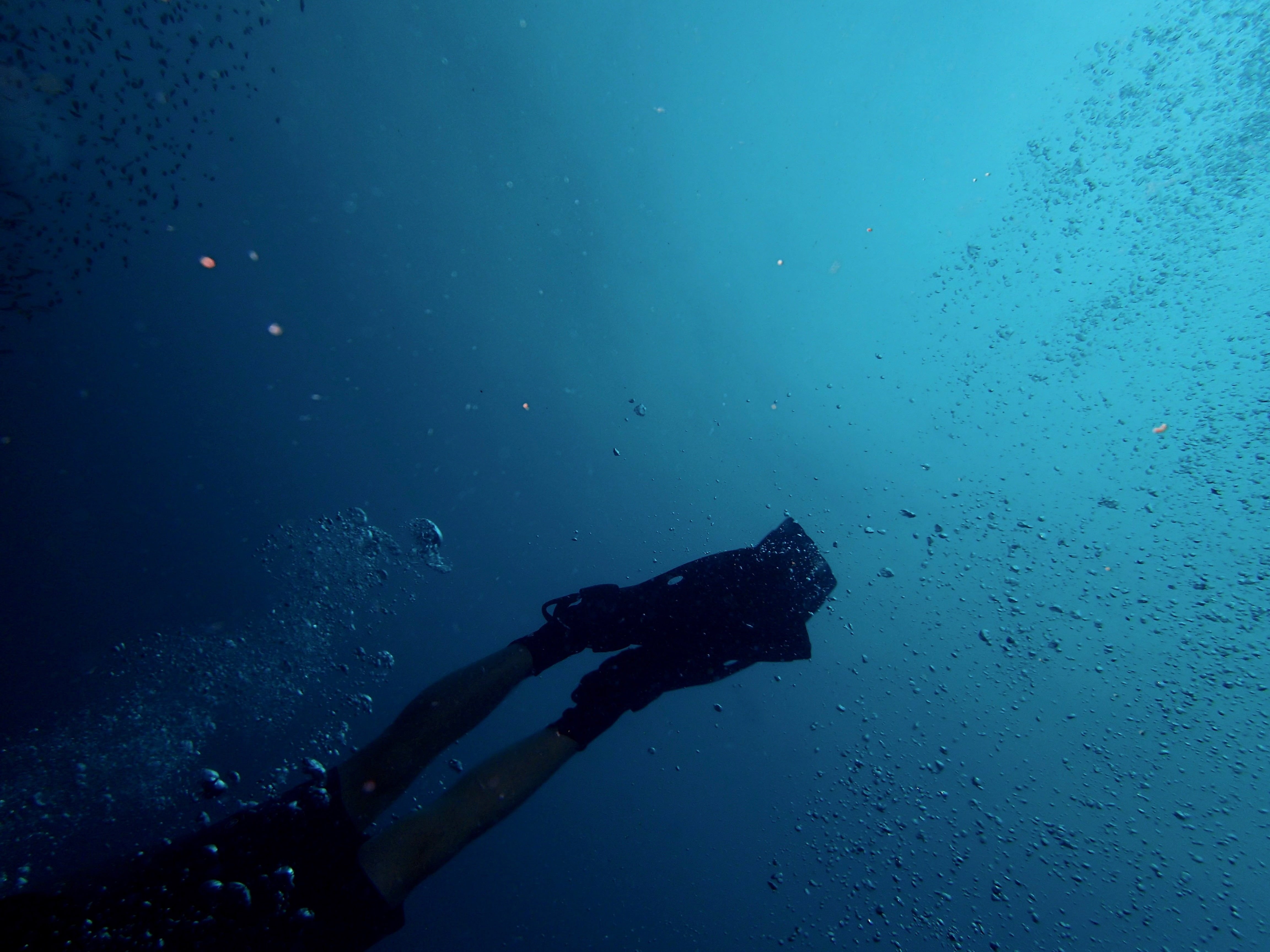marine, real people, person, nature, animals in the wild, scuba, blue, diver, sea, one person, diving, 4K, bubble, daytime, outdoors, aquatic sport, unrecognizable person, HD Wallpaper