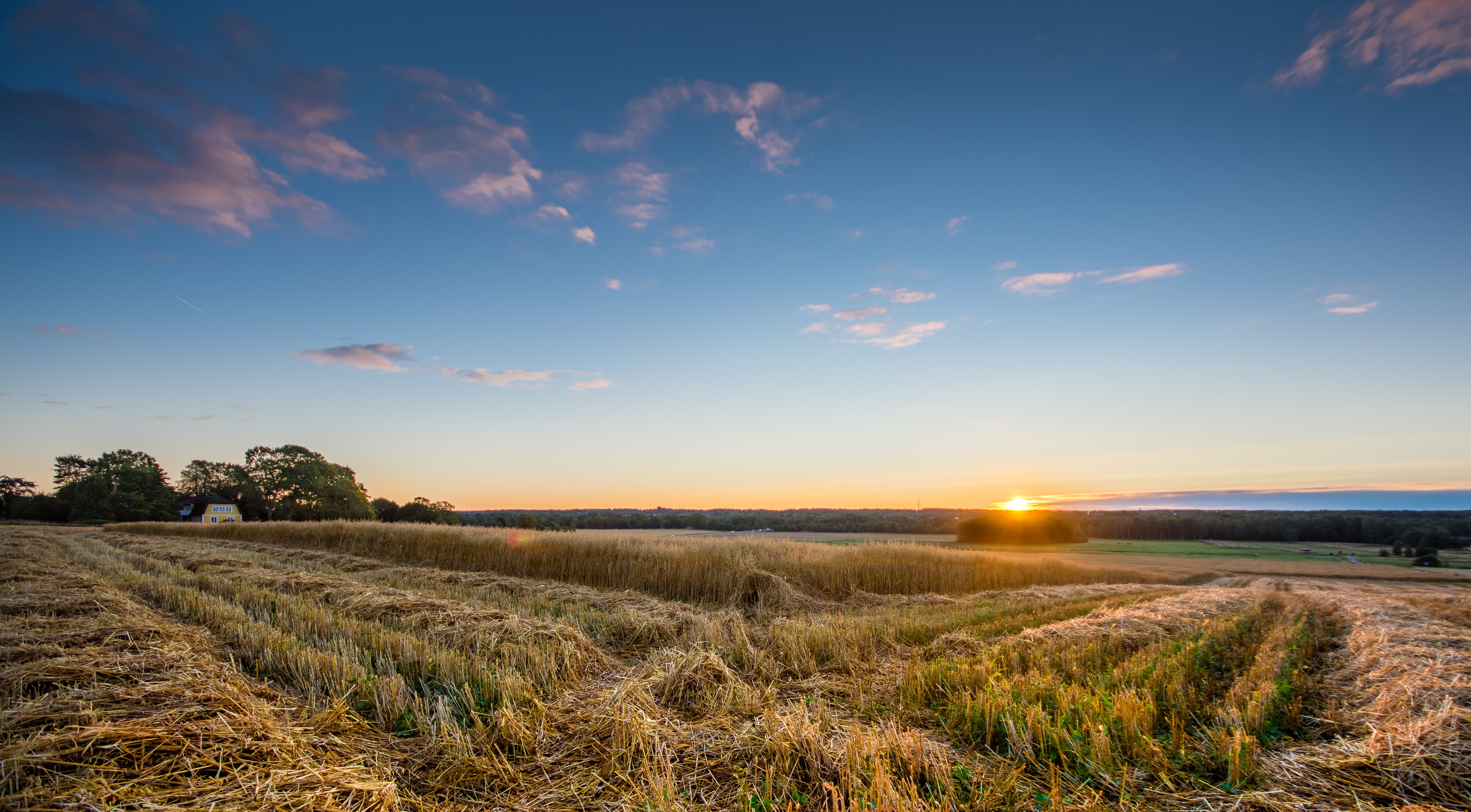 clouds, rural, sunlight, meadow, sky, house, cirrus clouds, Nikon D7100, nature, scenery, landscape, rural Scene, calm, crop, summer, yellow, blue, sunset, HD Wallpaper