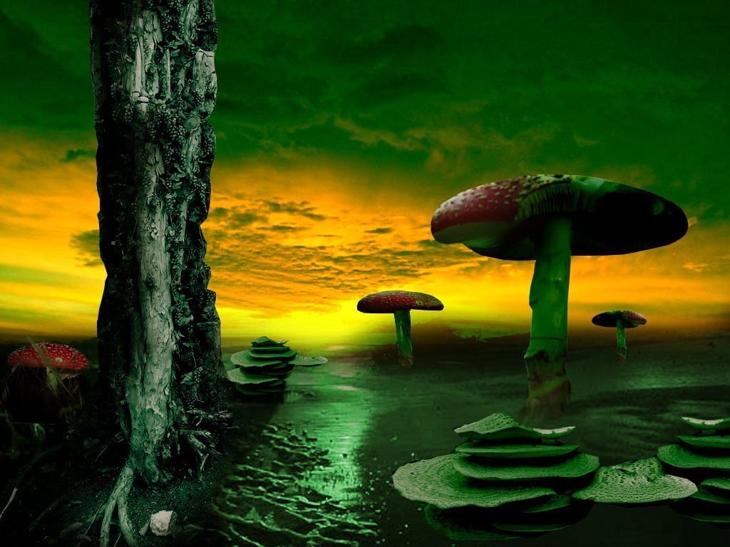nature, trunk, plant, sky, beauty in nature, tree, land, environment, fantasy art, red, artwork, 480P, outdoors, landscape, scenics - nature, mushroom, HD Wallpaper