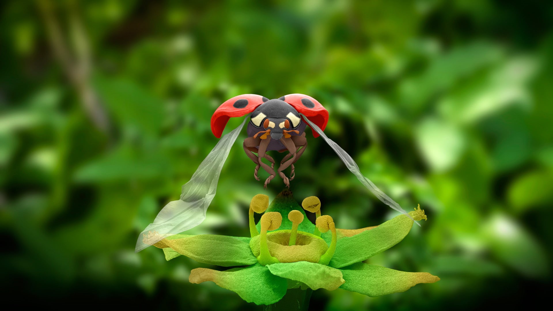 1080P, with a scanning electron microscope, insect, flower, ladybug, HD Wallpaper