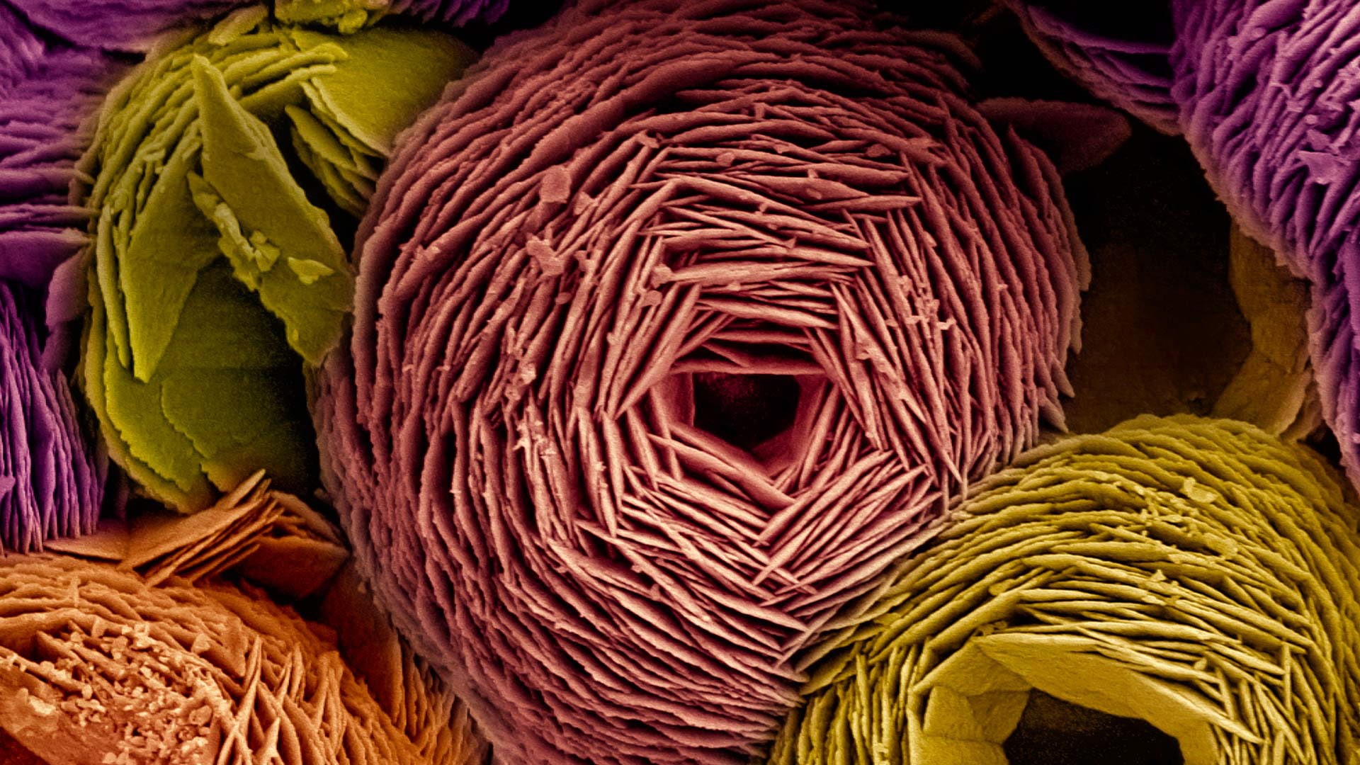 vaterite, carbonate, scanning electron microscope, 1080P, mineral, HD Wallpaper