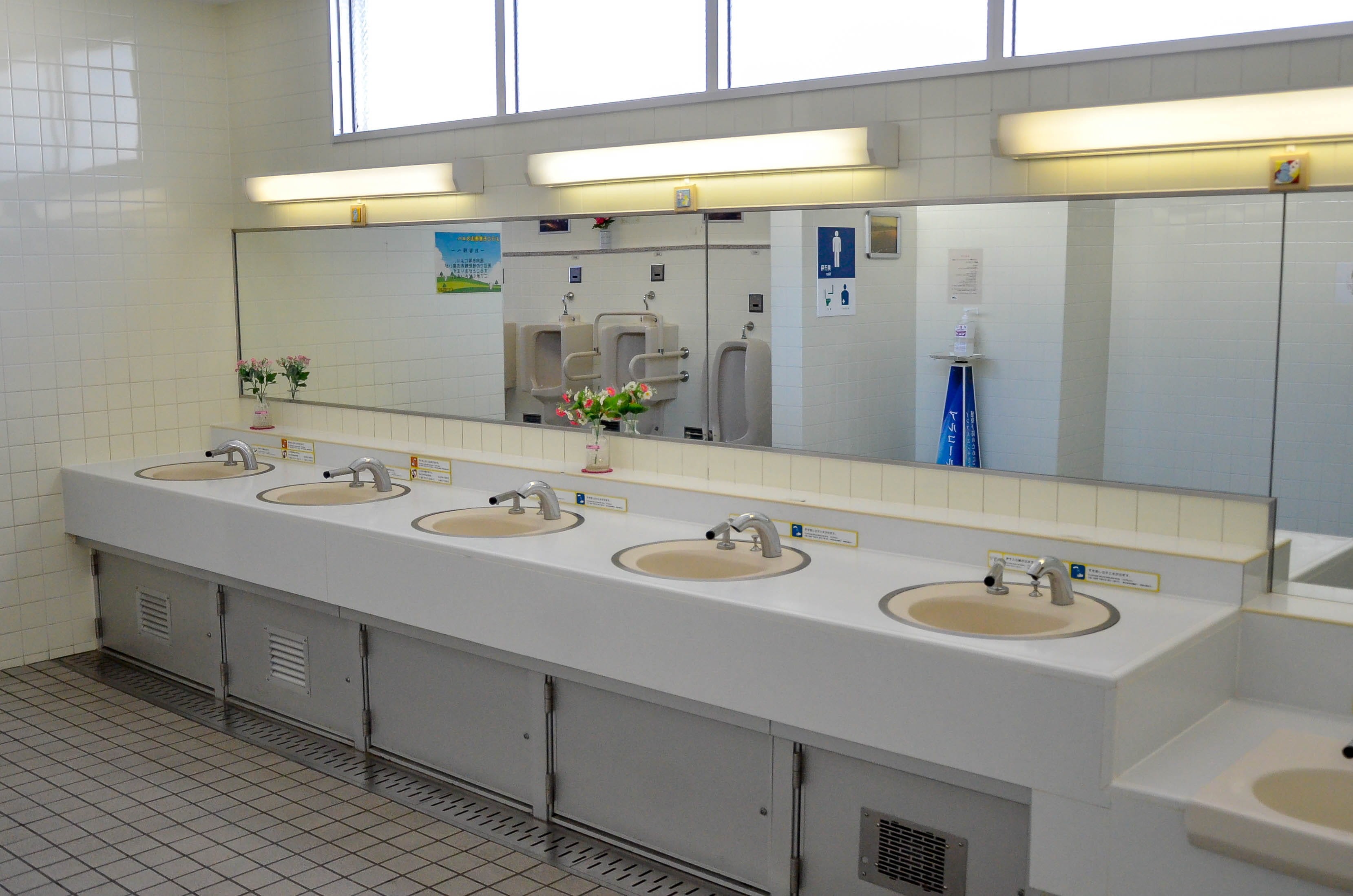 japanese, diarrhea, bowl, no people, design, new, restroom, toilet, male, light, lady, hygiene, sanitary, domestic room, icon, symbol, mirror, indoors, HD Wallpaper