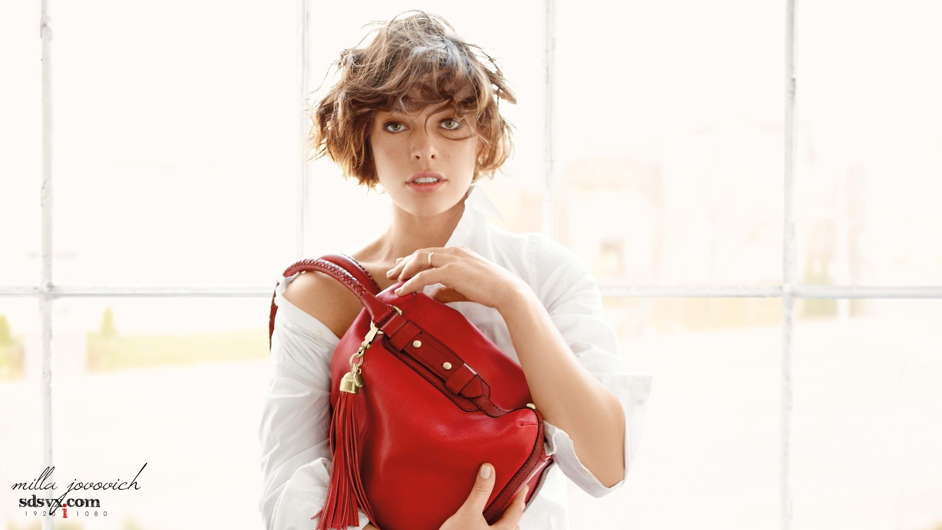 actress, bag, celebrity, fashion, young women, one person, beauty, young adult, Milla Jovovich, day, holding, window, indoors, 1080P, looking at camera, HD Wallpaper