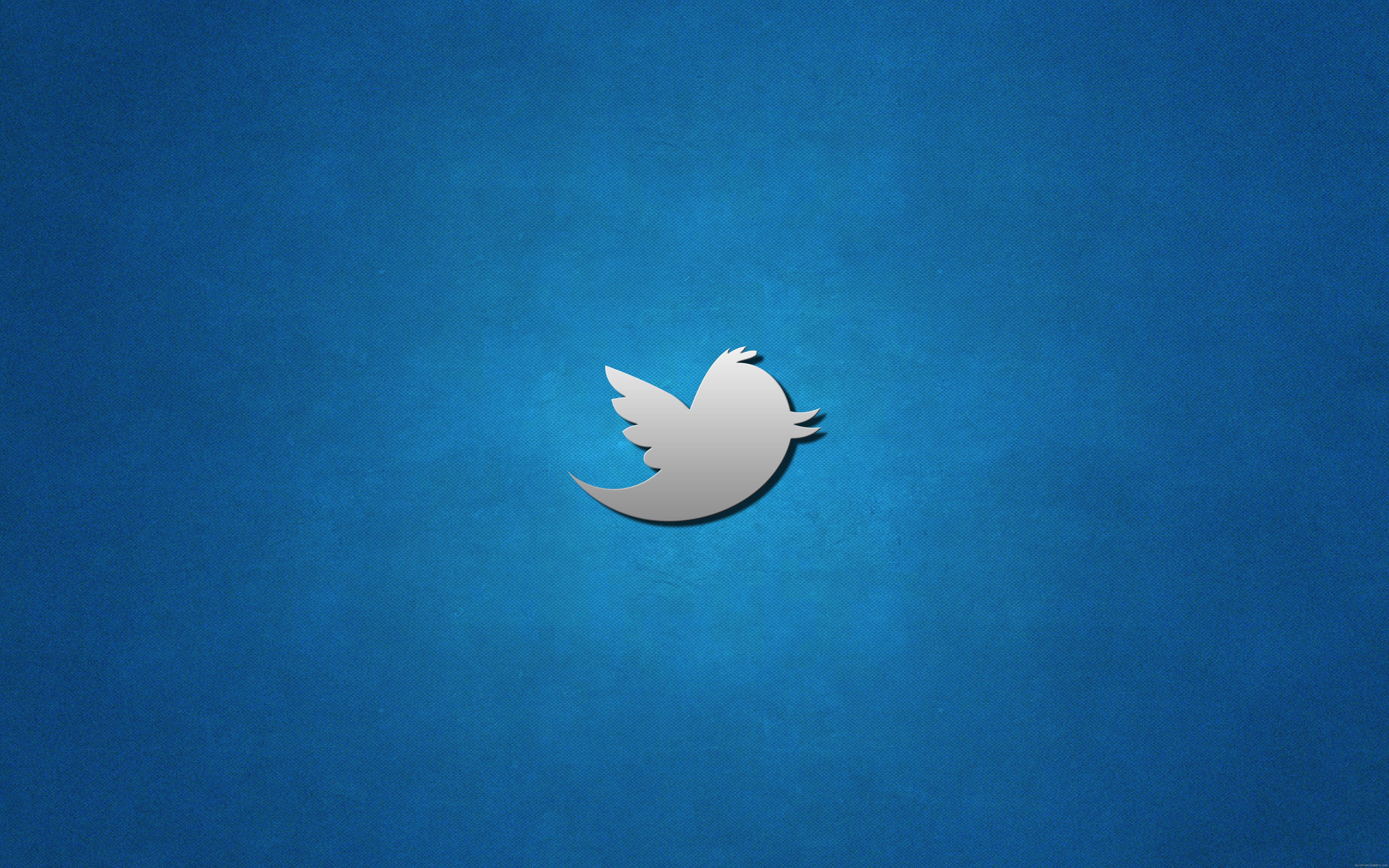 twitter, logo, bird, 5K, brand, HD Wallpaper