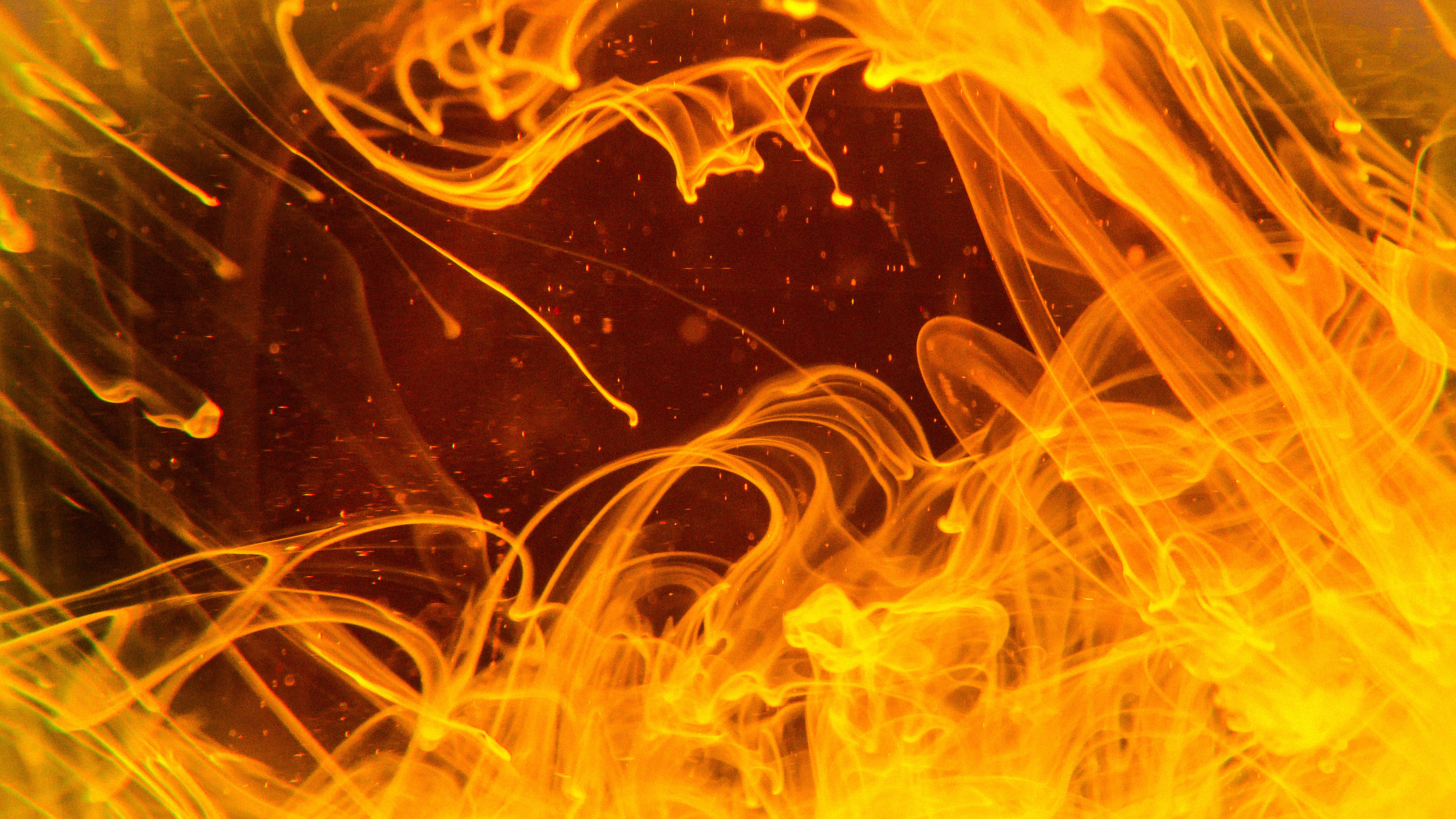 black background, nature, fire - natural phenomenon, abstract, pattern, outdoors, backgrounds, 5K, blurred motion, art, sparks, heat - temperature, HD Wallpaper