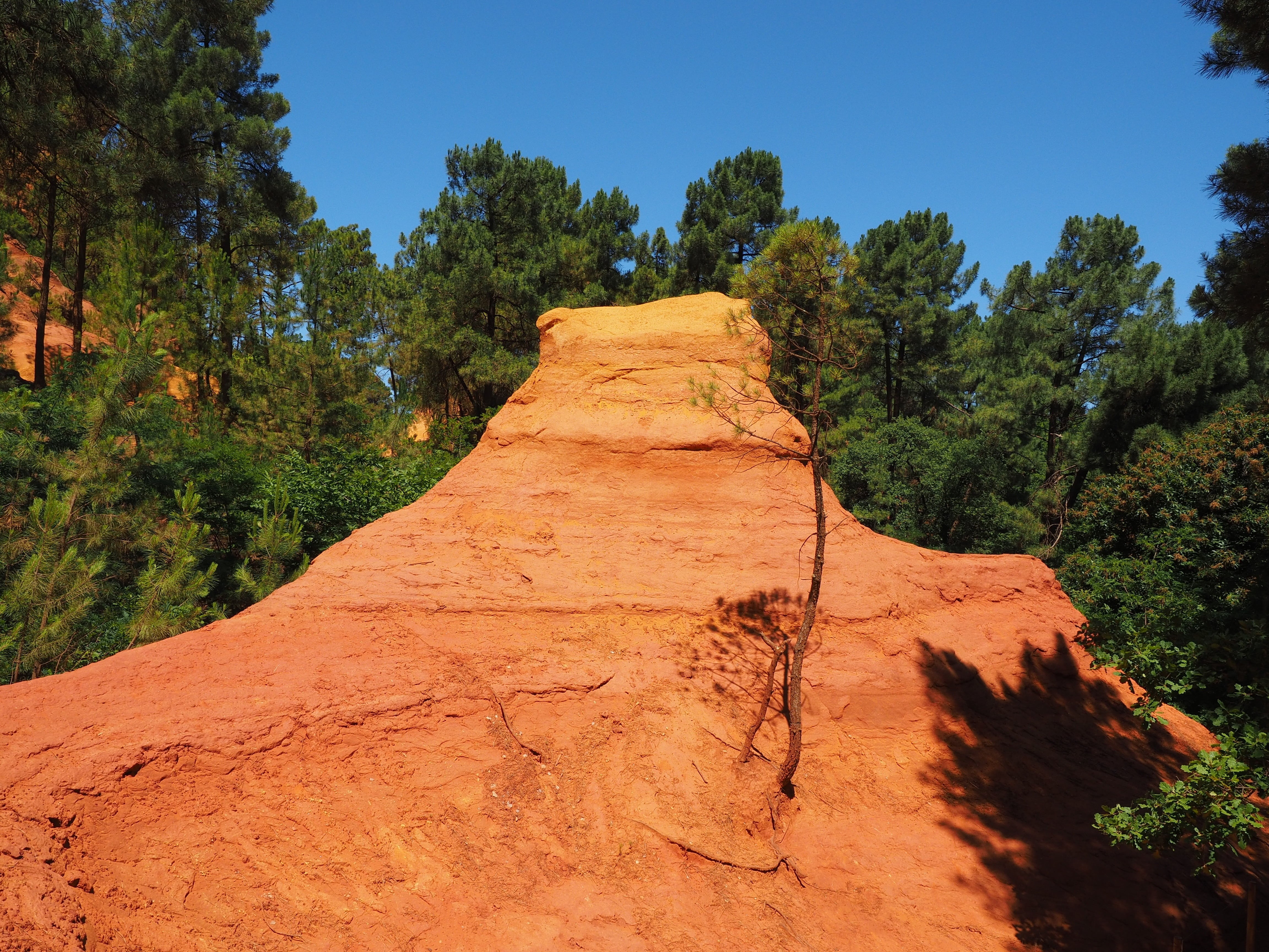 physical geography, tranquility, roussillon, plant, climate, rock formation, landscape, non-urban scene, pine forest, no people, arrondissement apt, sandstone, HD Wallpaper