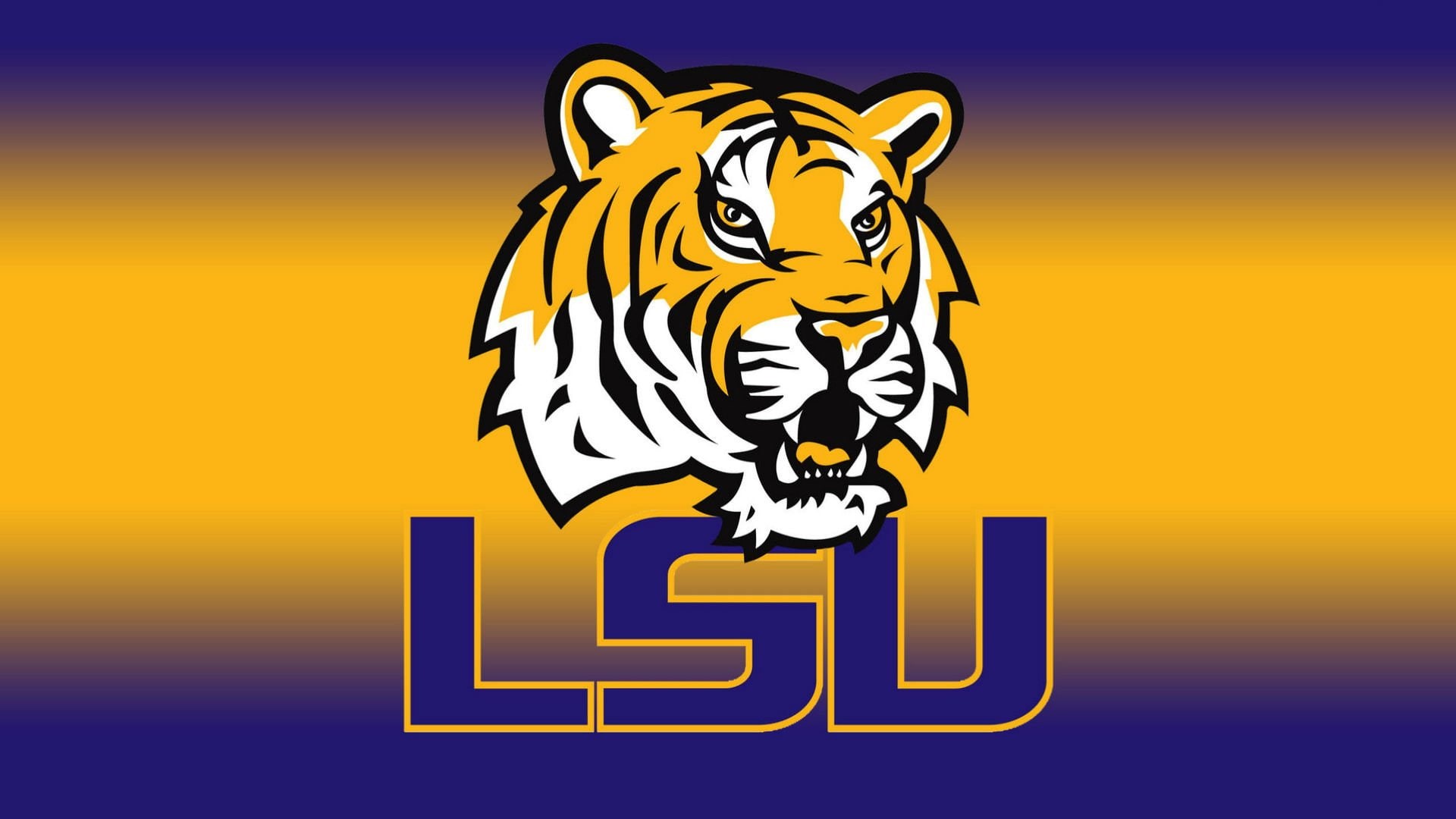 college, tigers, 1080P, football, lsu, HD Wallpaper