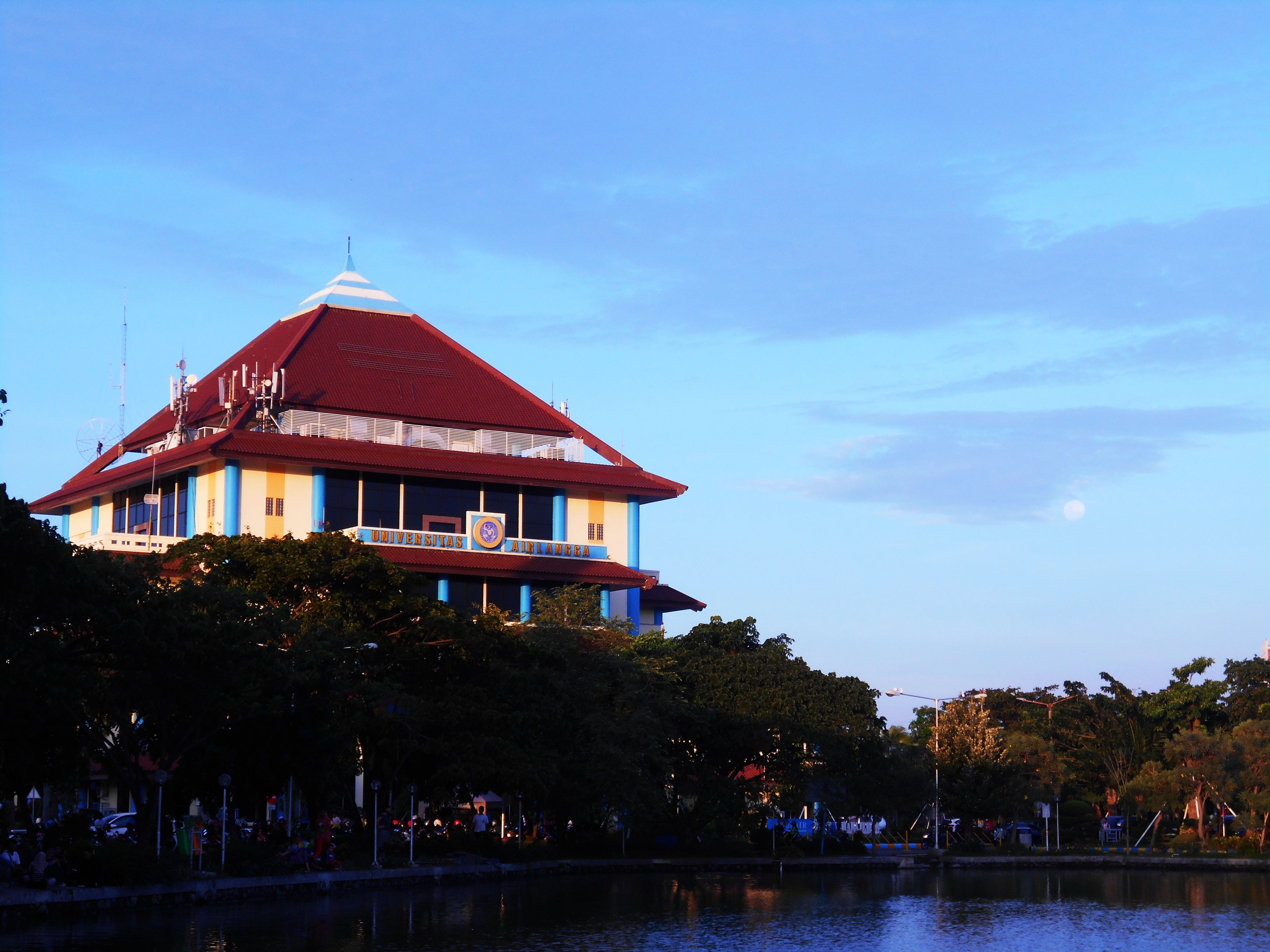 plant, afternoon, blue, college, tree, day, unair, architecture, asia, cloud - sky, campus, nature, reflection, outdoors, built structure, house, building, HD Wallpaper