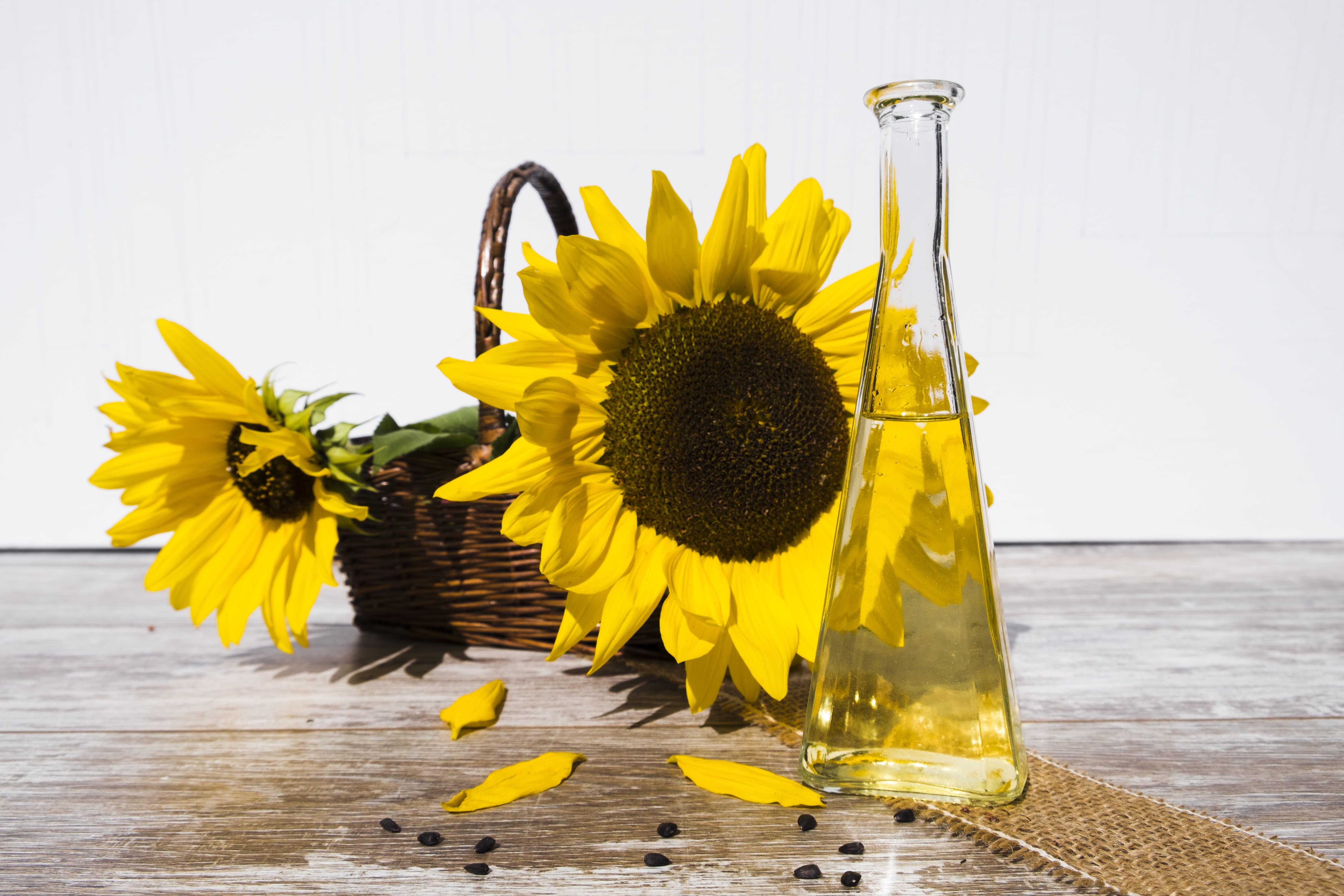 bloom, seeds, nutrition, flower arrangement, cook, flower, flask, glass, freshness, brown, surface, oil, food, table, summer, sun flower, plant, vase, cooking oil, HD Wallpaper