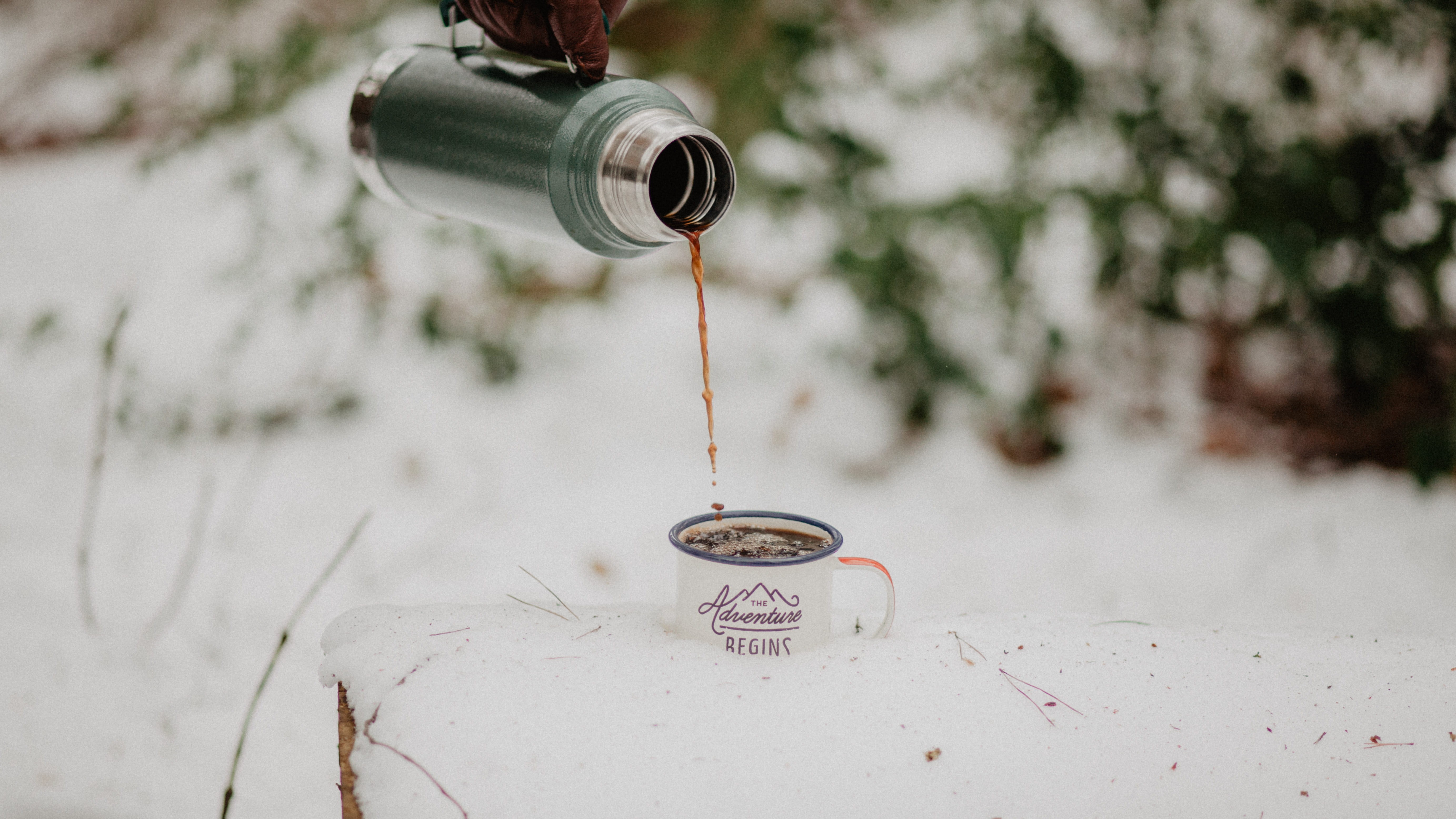 technology, the adventure begins, pour, flask, land, coffee, tree, winter, photo, landscape, environment, holding, close-up, vacuum, thermos, motion, person, HD Wallpaper