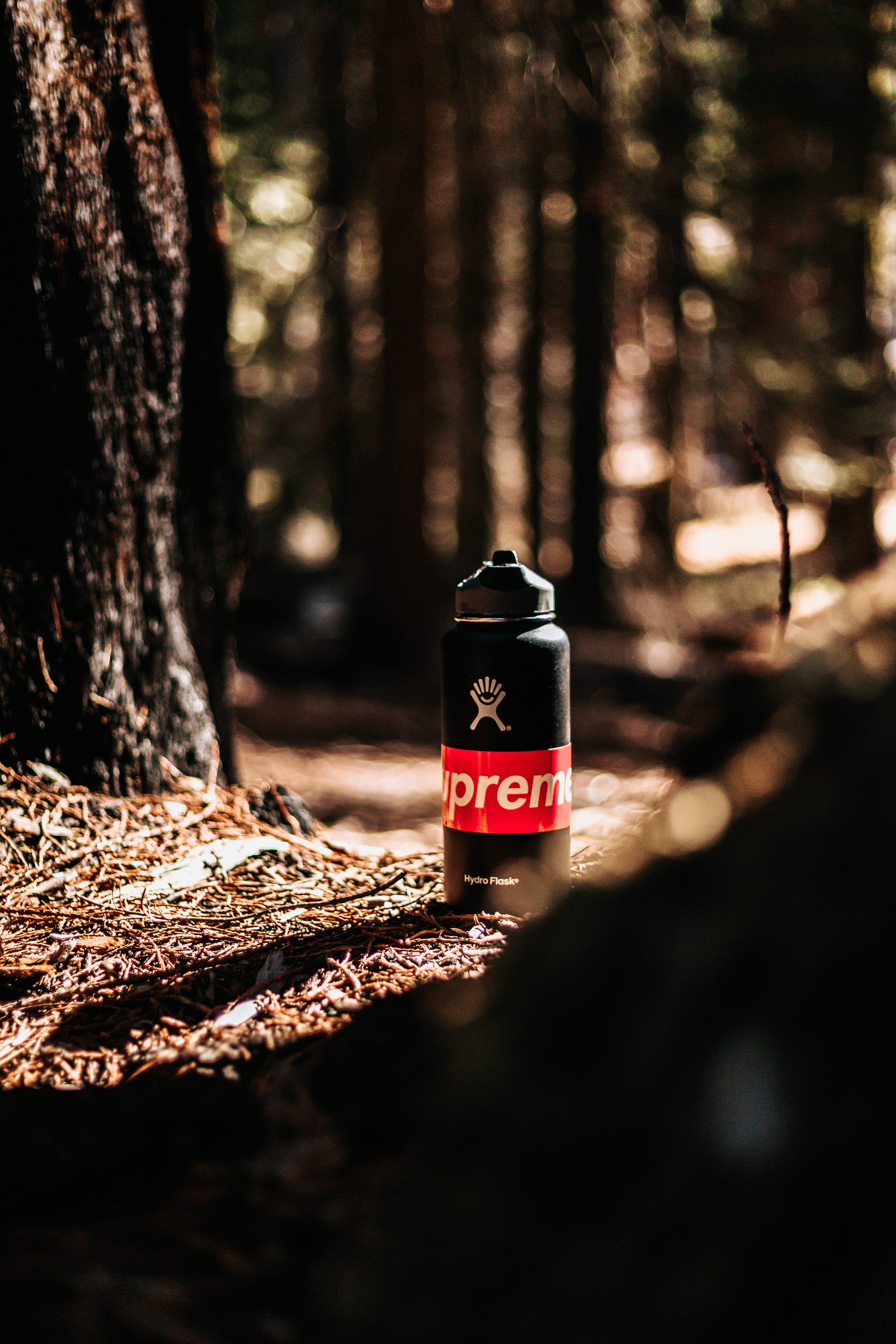 bottle, tree trunk, x, near, western script, forest, red, safety, flask, reusable, hydro, selective focus, sign, trunk, sports, 5K, ground, no people, Phone HD Wallpaper