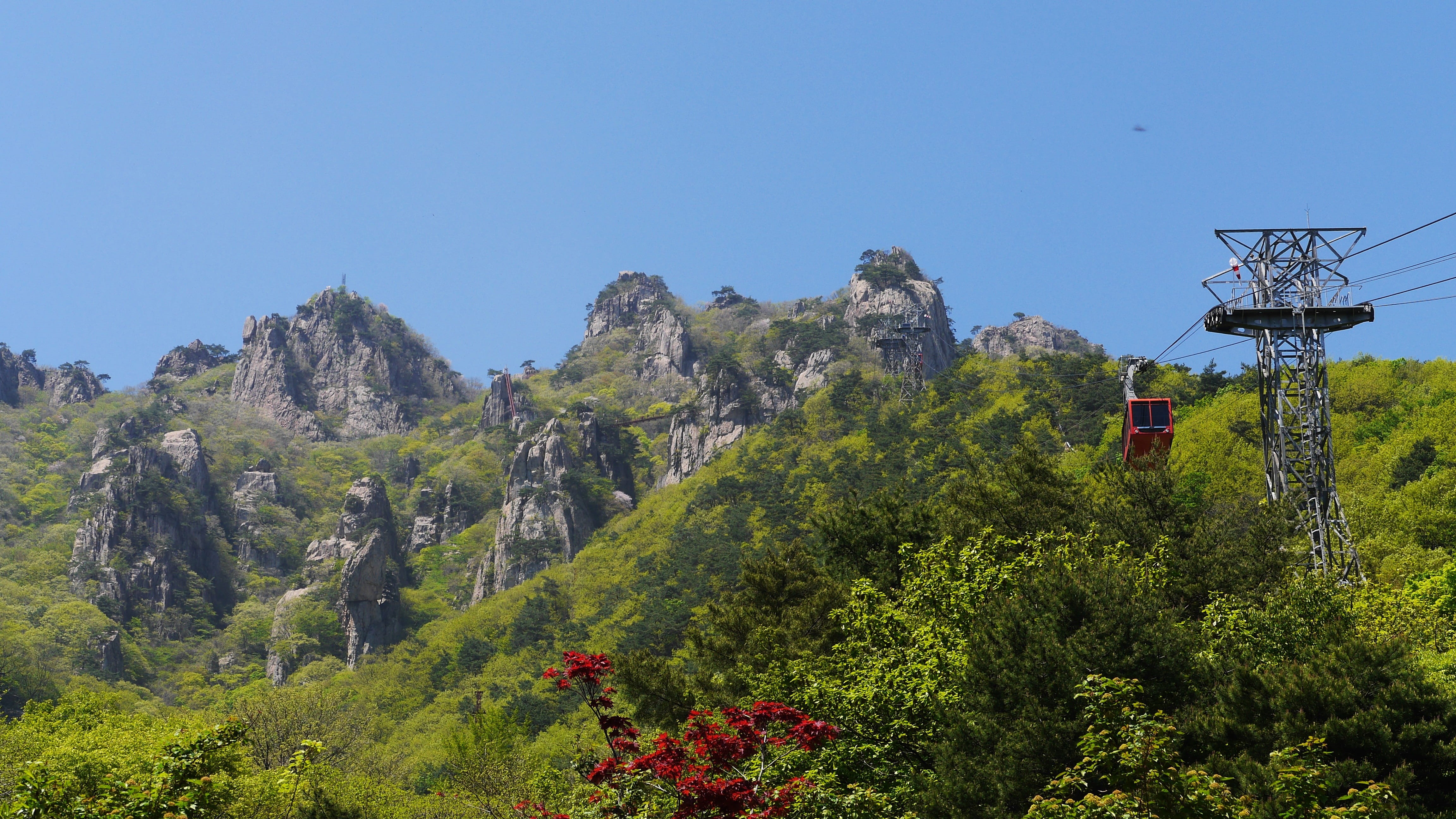 cancer acid, 4K, plant, tranquility, land, tranquil scene, daedunsan, day, blue, growth, outdoors, clear sky, green color, no people, tree, this type, HD Wallpaper