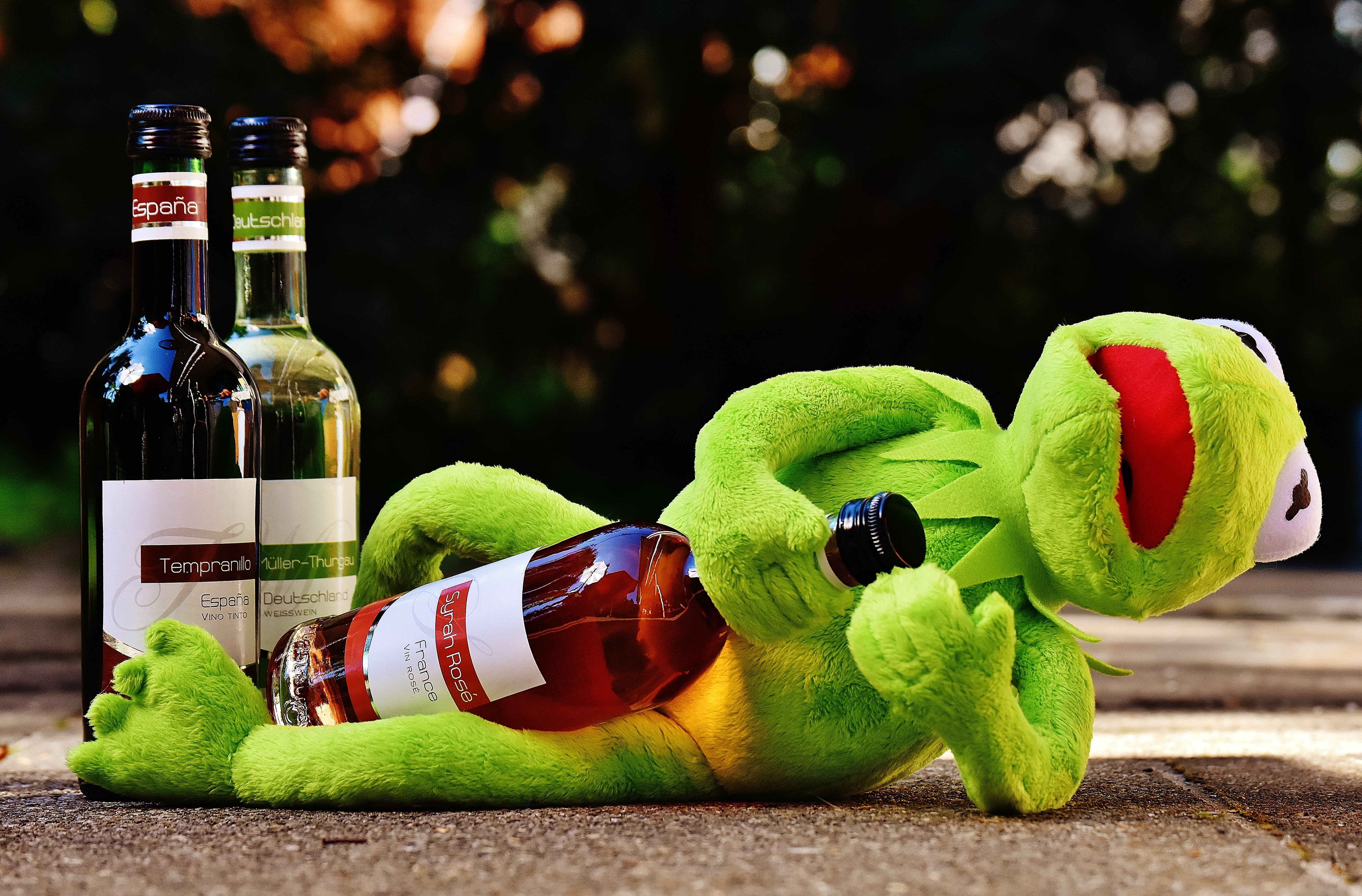 animal themes, focus on foreground, sit, spain, day, food and drink, bottle, kermit, drunk, animal representation, alcohol, germany, representation, outdoors, HD Wallpaper