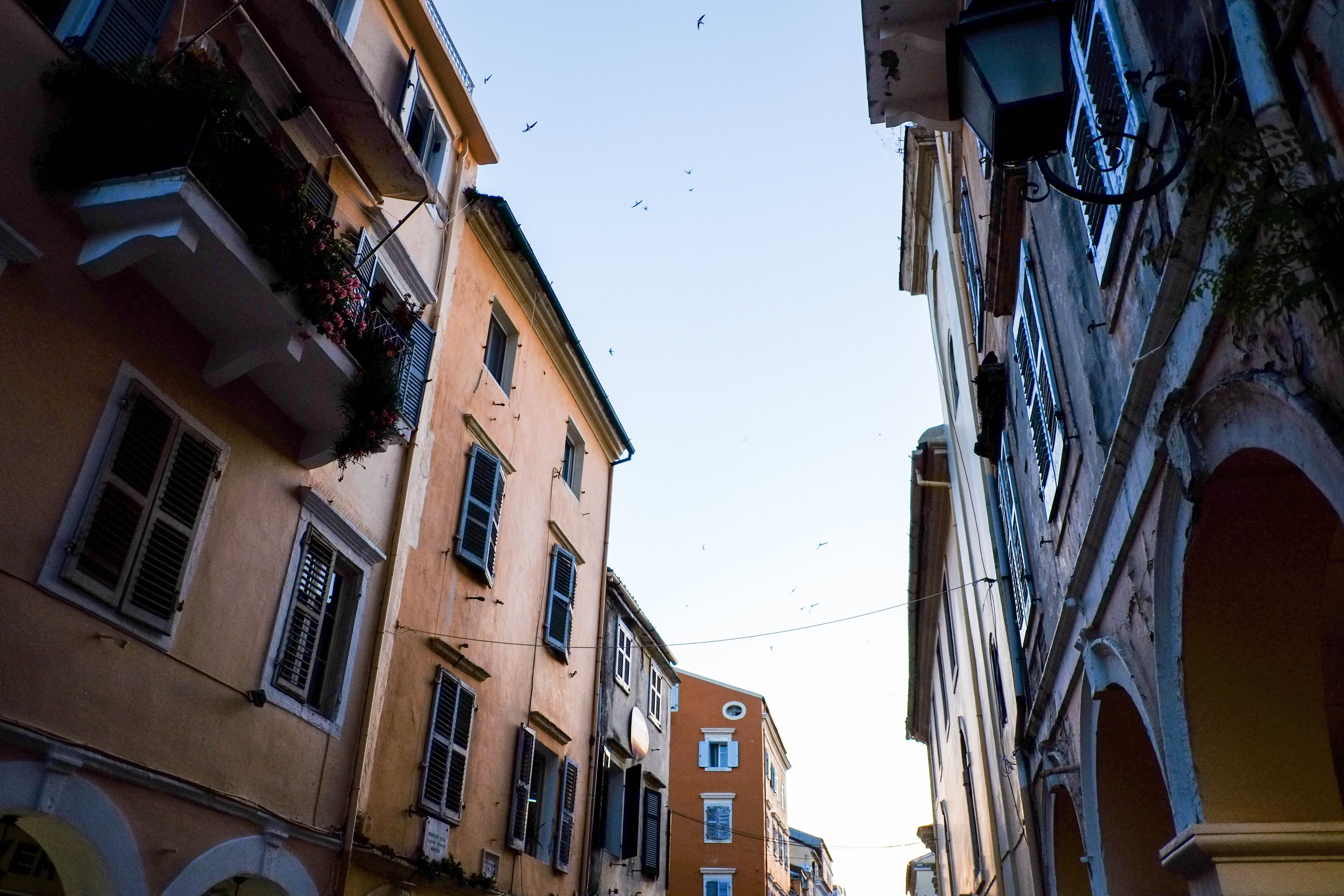 travel, built structure, building exterior, nature, kerkyra, window, unesco, balcony, day, low angle view, building, sunlight, sky, town, no people, residential district, HD Wallpaper