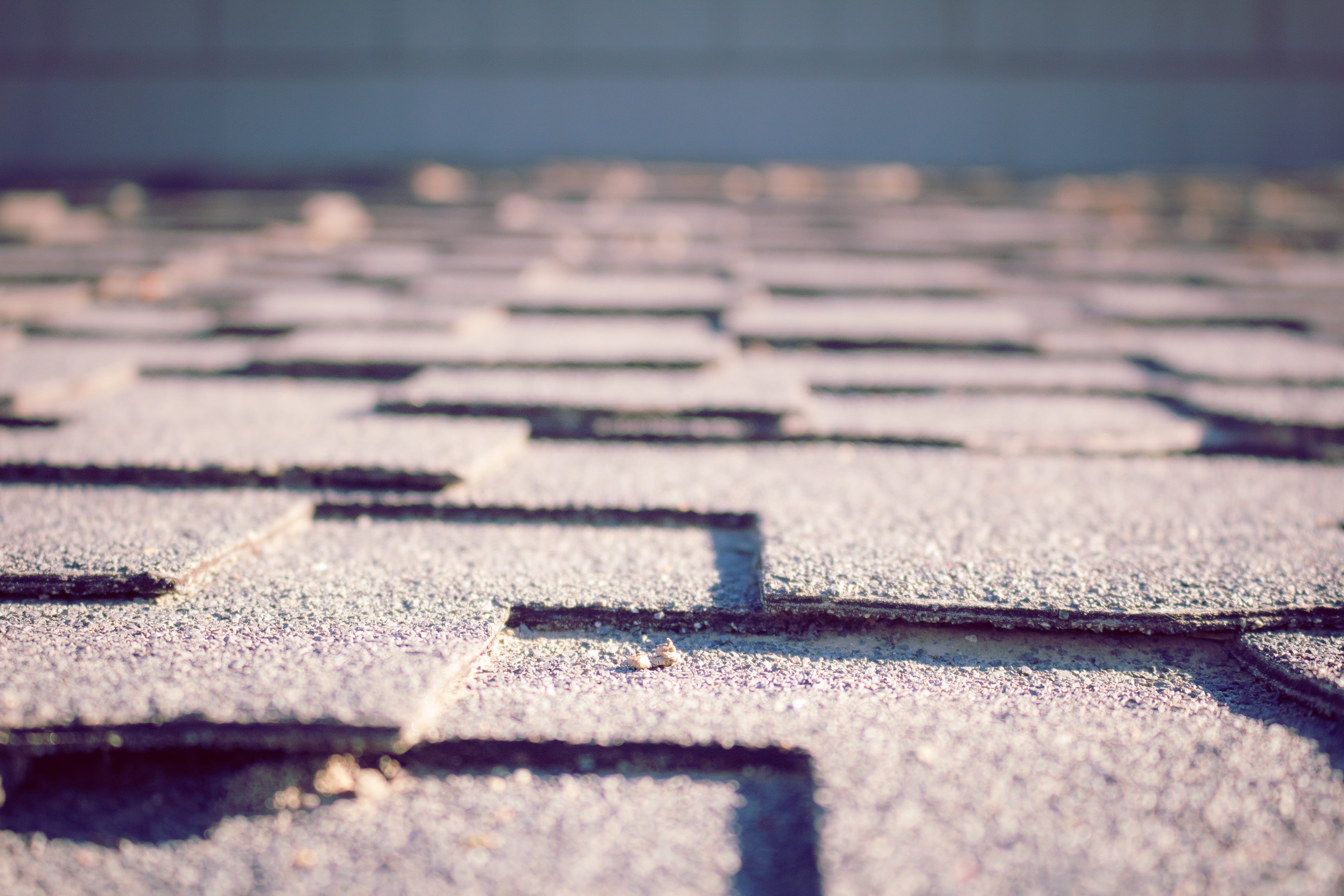 textured, asphalt, roof, built structure, concrete, lines, footpath, pattern, day, depth of field, sunlight, warm, layers, nature, surface level, selective focus, HD Wallpaper