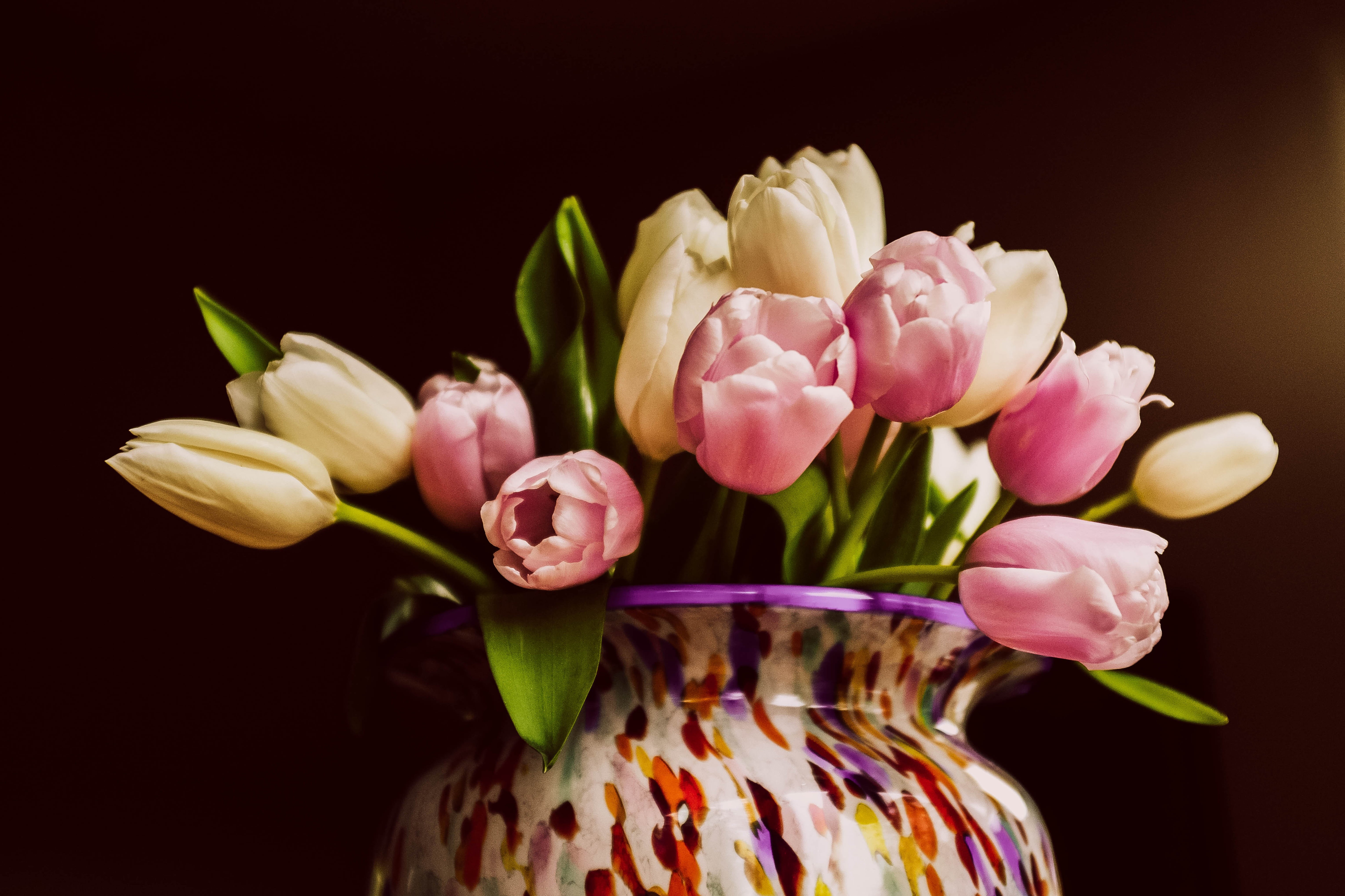 flowers, bouquet, home, flower, tulips, focus, selective, 5K, tulip, nature, plant, petal, springtime, selective focus, Fujifilm, vase, pink Color, HD Wallpaper