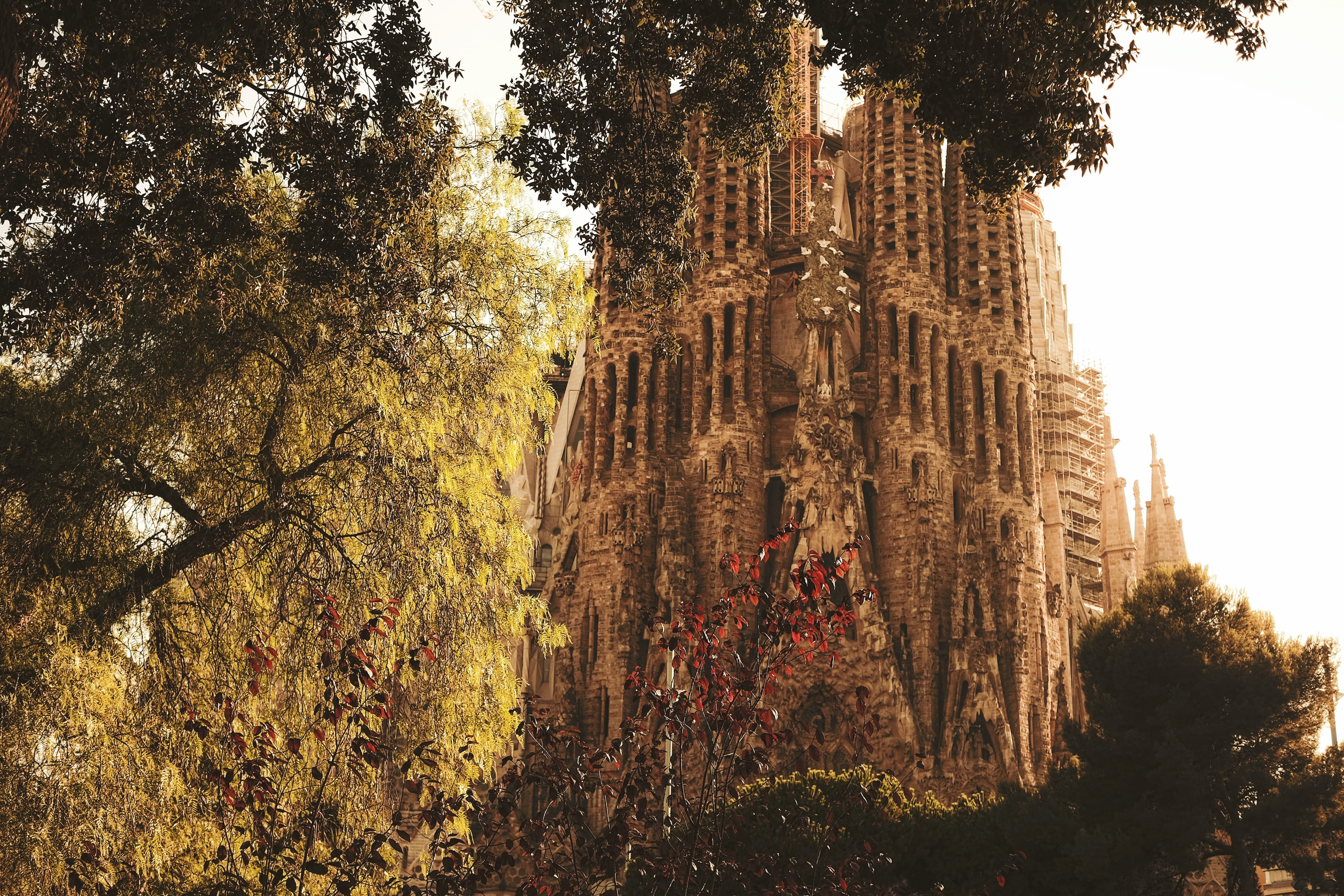 belief, architecture, fujifilm, sun, barcelona, plant, spire, nature, place of worship, history, sagrada familia, espana, xt10, spain, 4K, religion, building, HD Wallpaper
